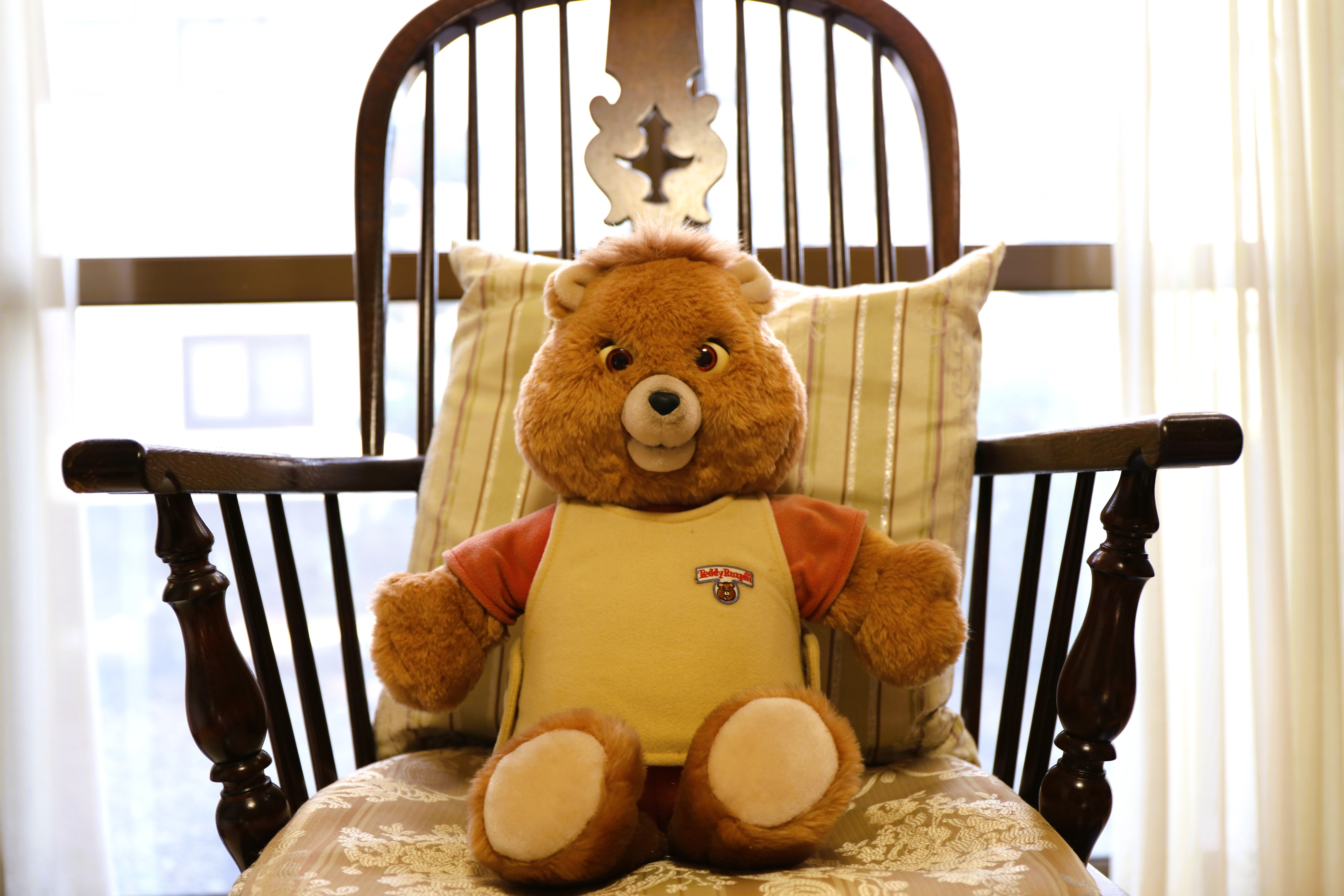 動け！テディ・ラクスピン｜宮﨑まきこ