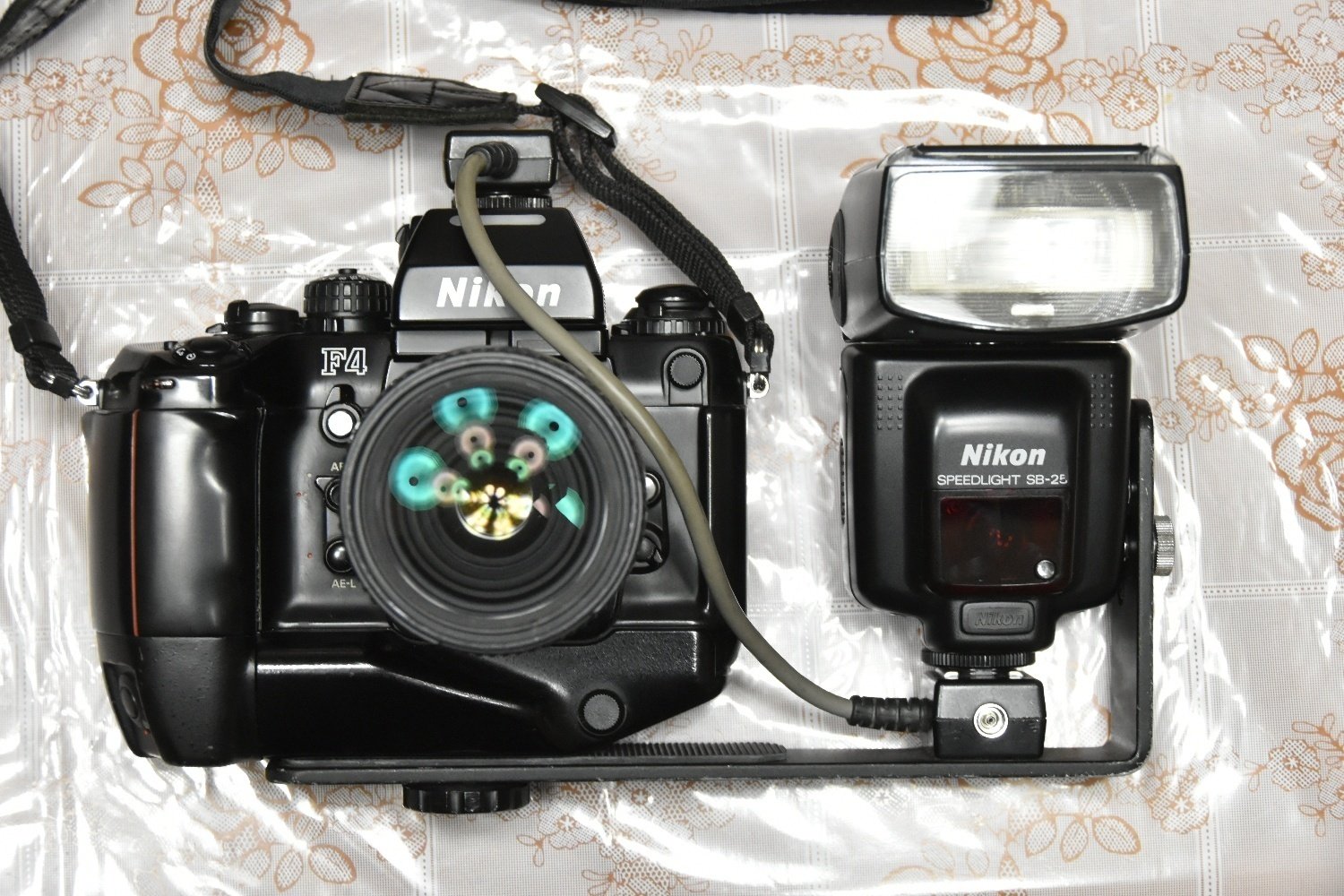 ウチのカメラさんたち 20｜ひろ