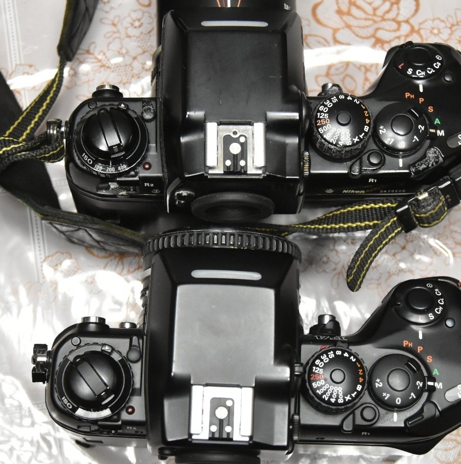 ウチのカメラさんたち 20｜ひろ