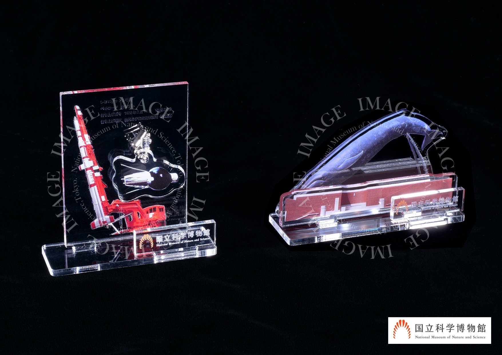 国立科学博物館クラウドファンディング｜150日間と支援者データを振り返る