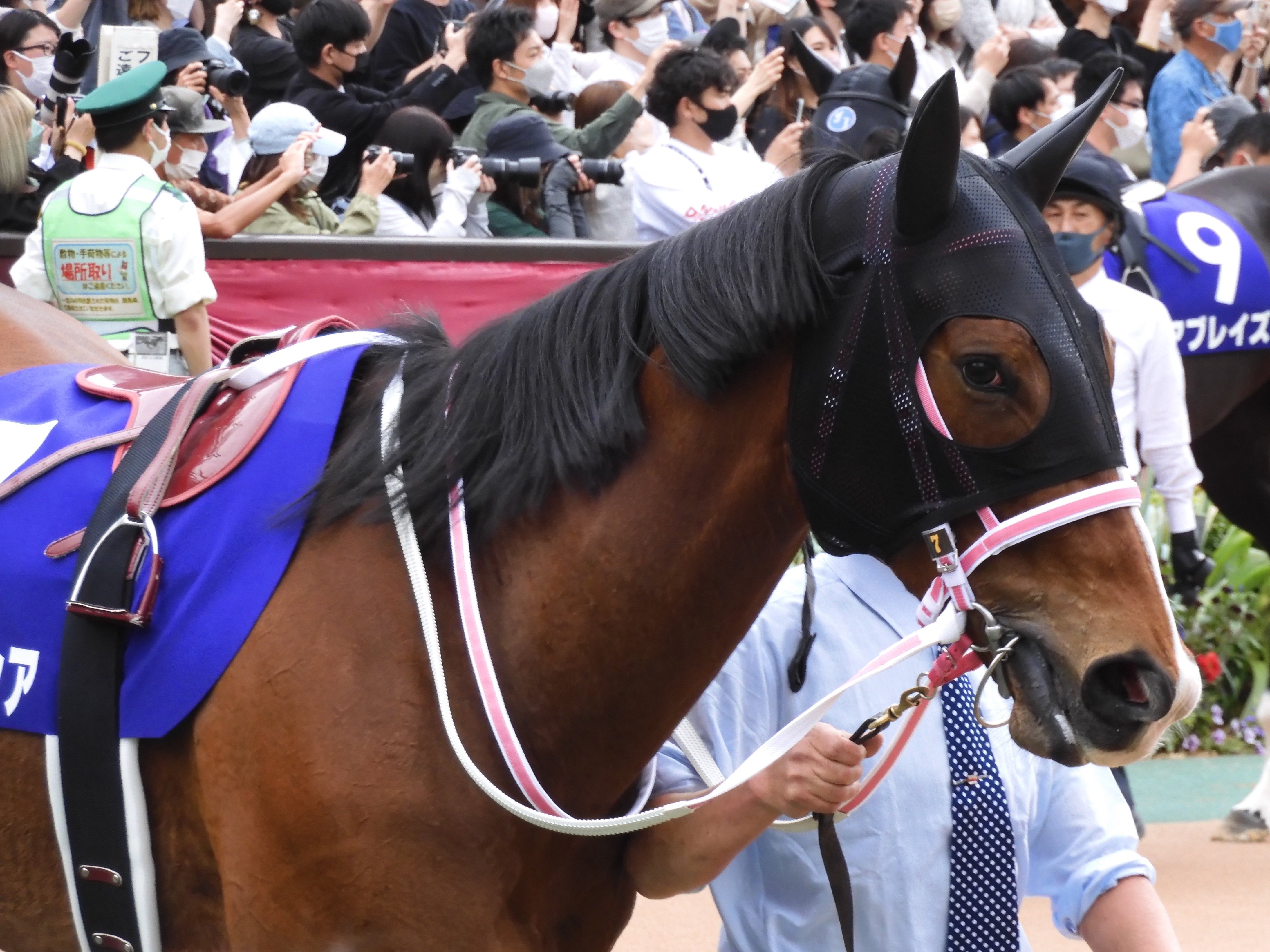 虹、いつまでも鮮やかに｜ころも