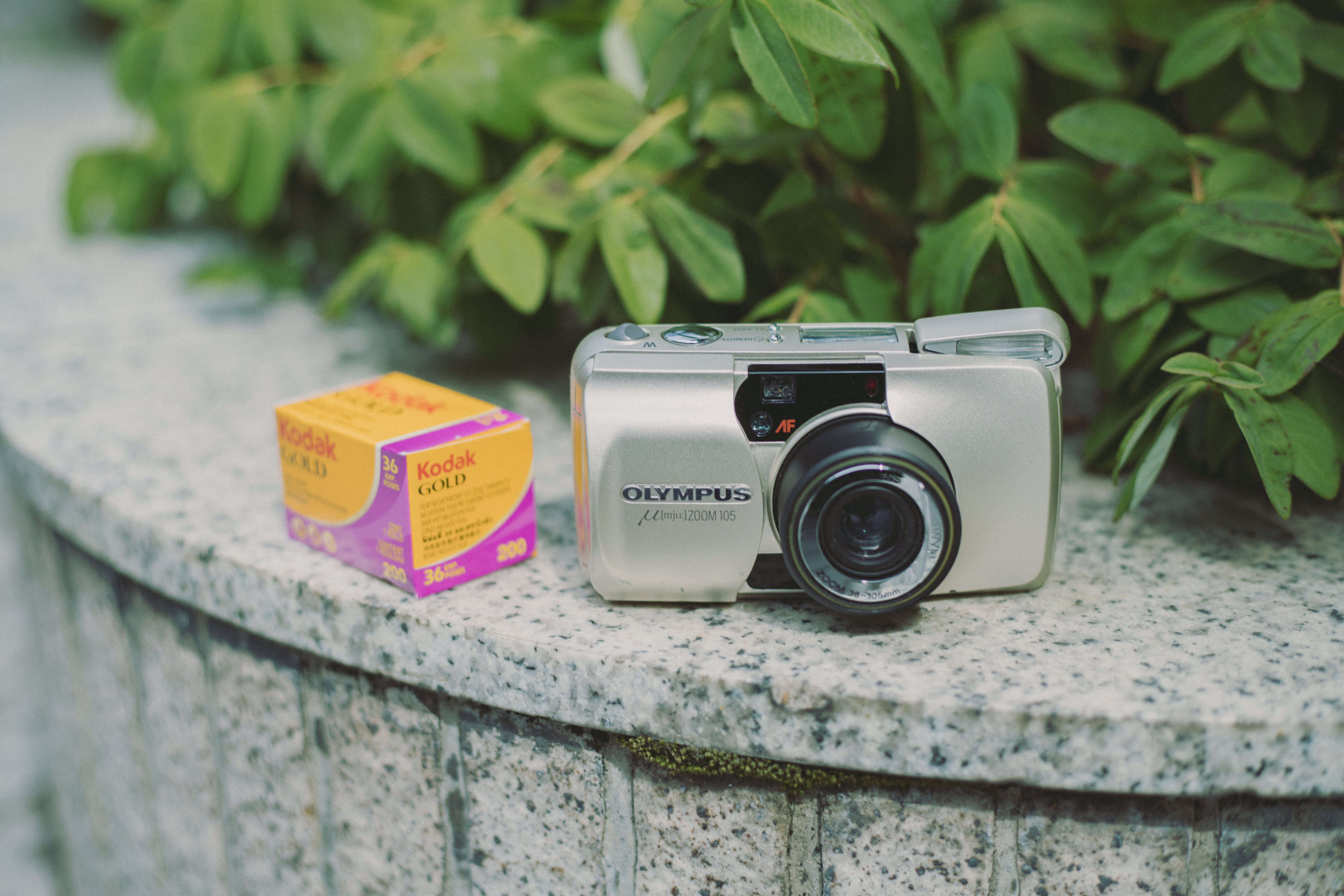 フィルムカメラ】私のミューズ｜オリンパス μ ZOOM 105｜もんぶらん