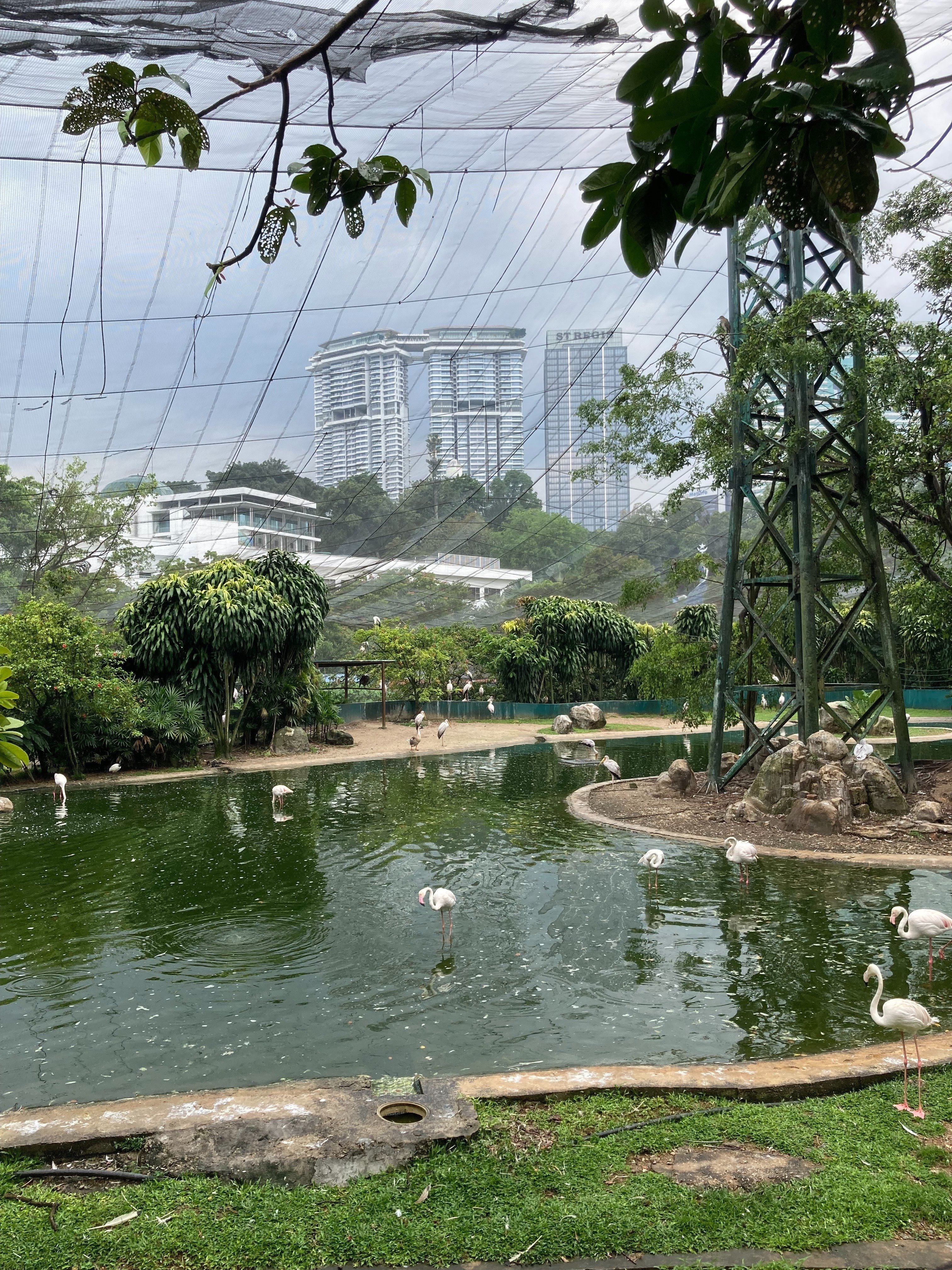 マレーシア旅行で見たものバティックで描いちゃおう🤩｜Chiharu