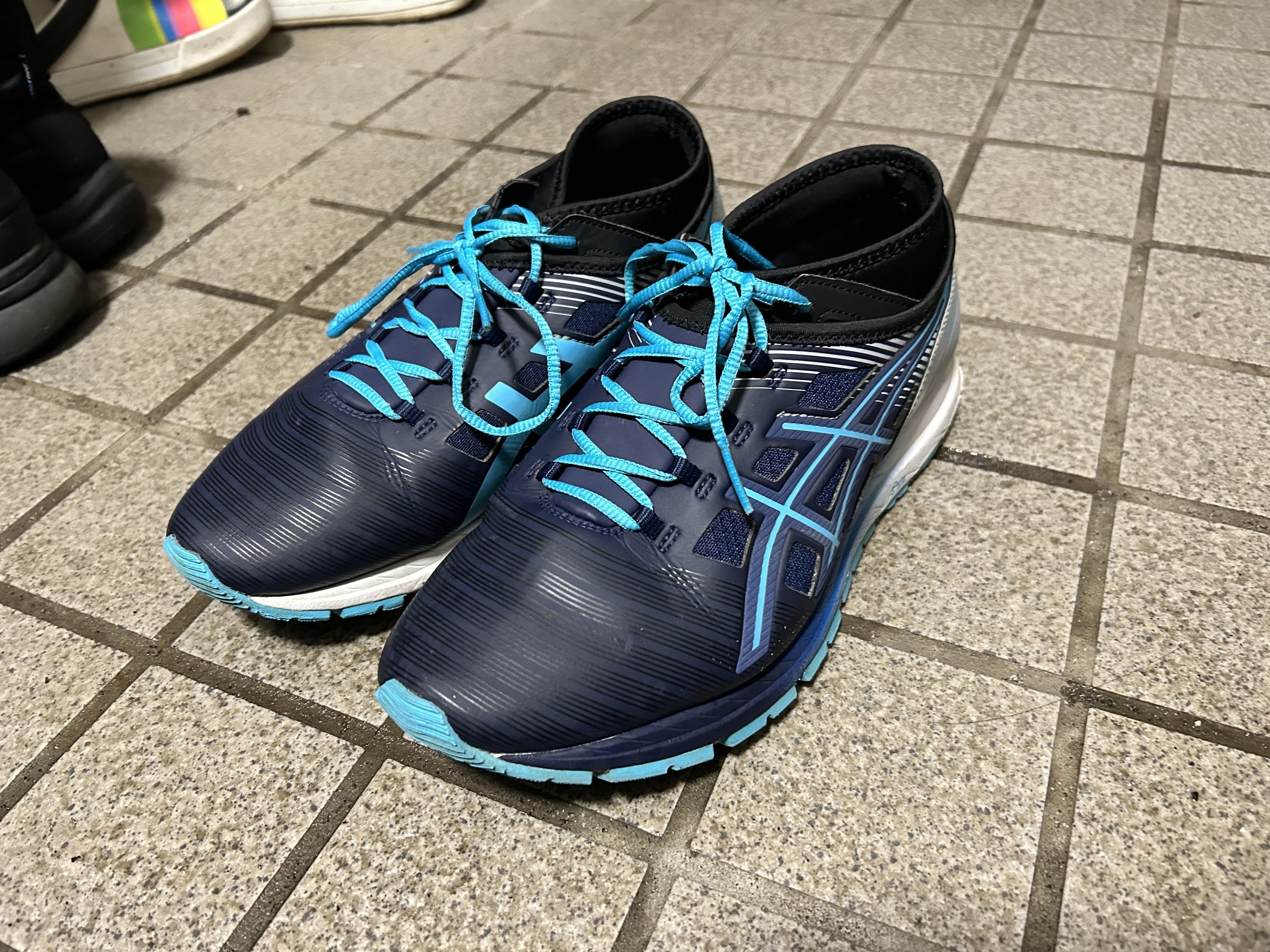 去っていったスノーターサー｜星竜也