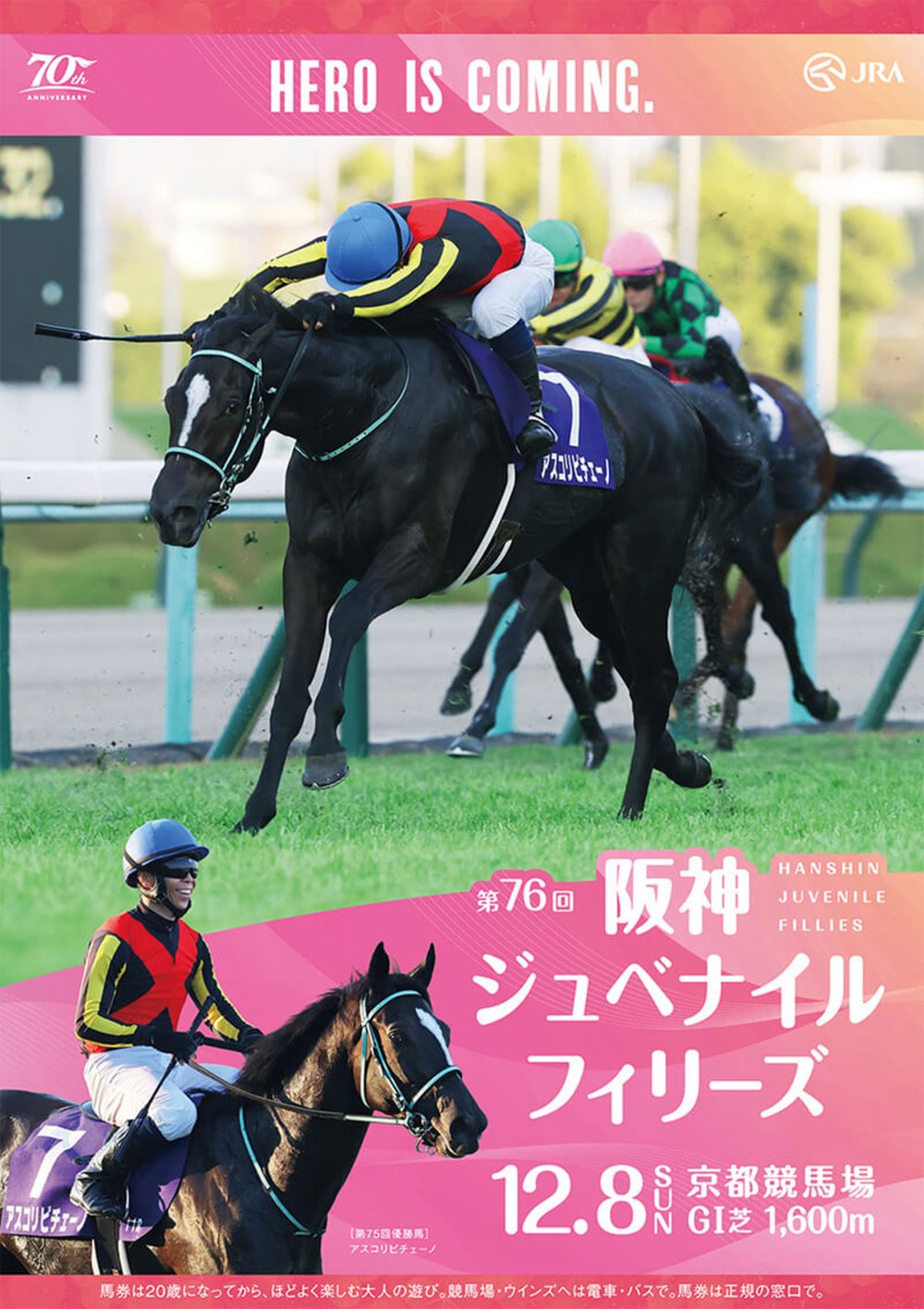 2024阪神ジュベナイルフィリーズ ポスター｜日本サイン競馬会