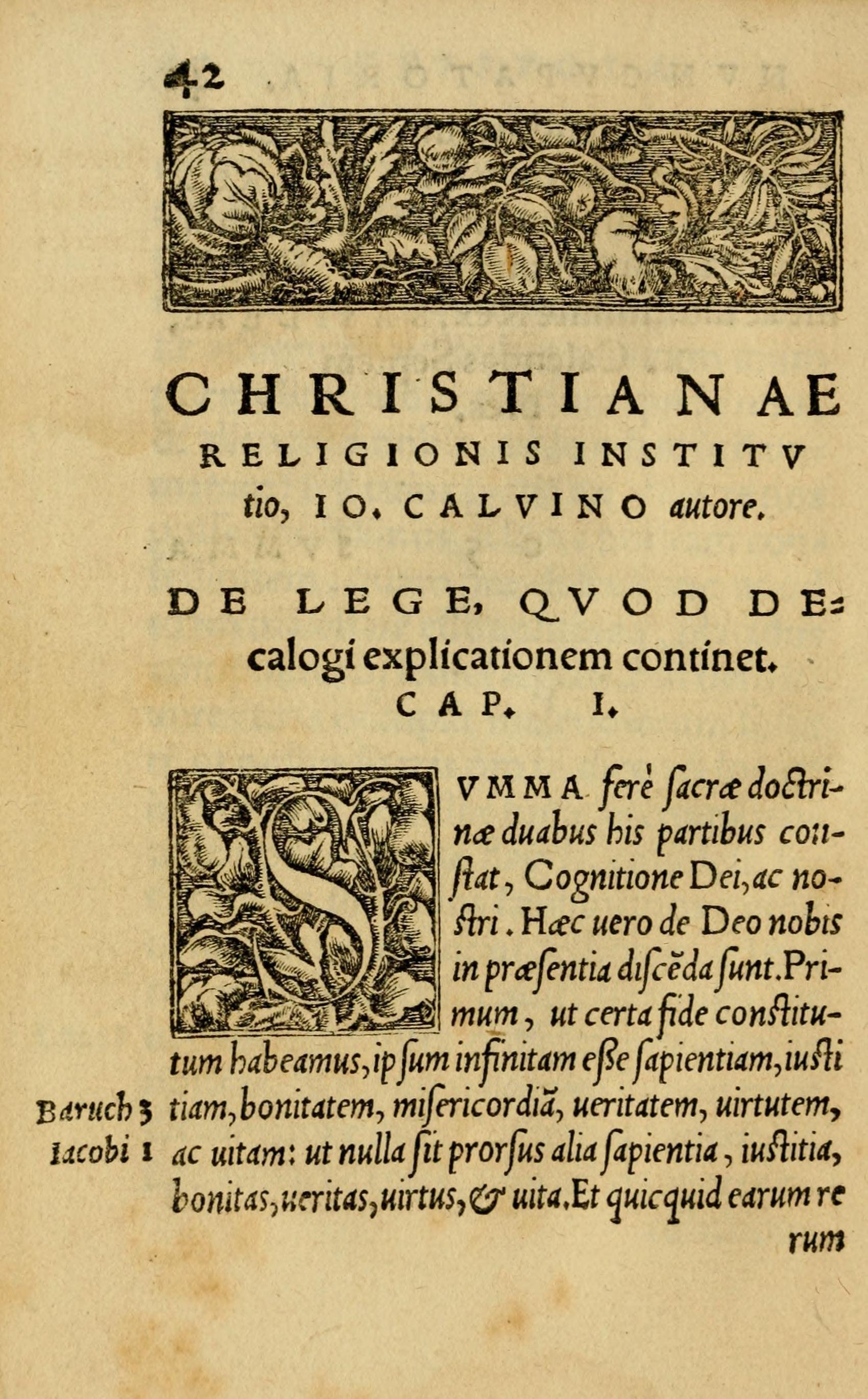 カルヴァン『キリスト教綱要』試論①｜Sakiya ARAKAWA