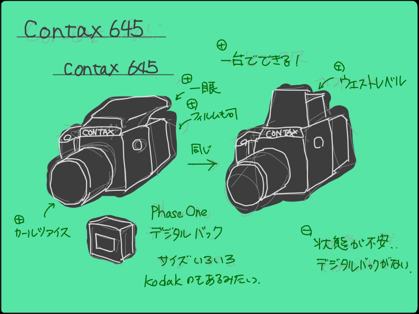 中判カメラを購入するに至り考えたこと｜Takumi Ikeda