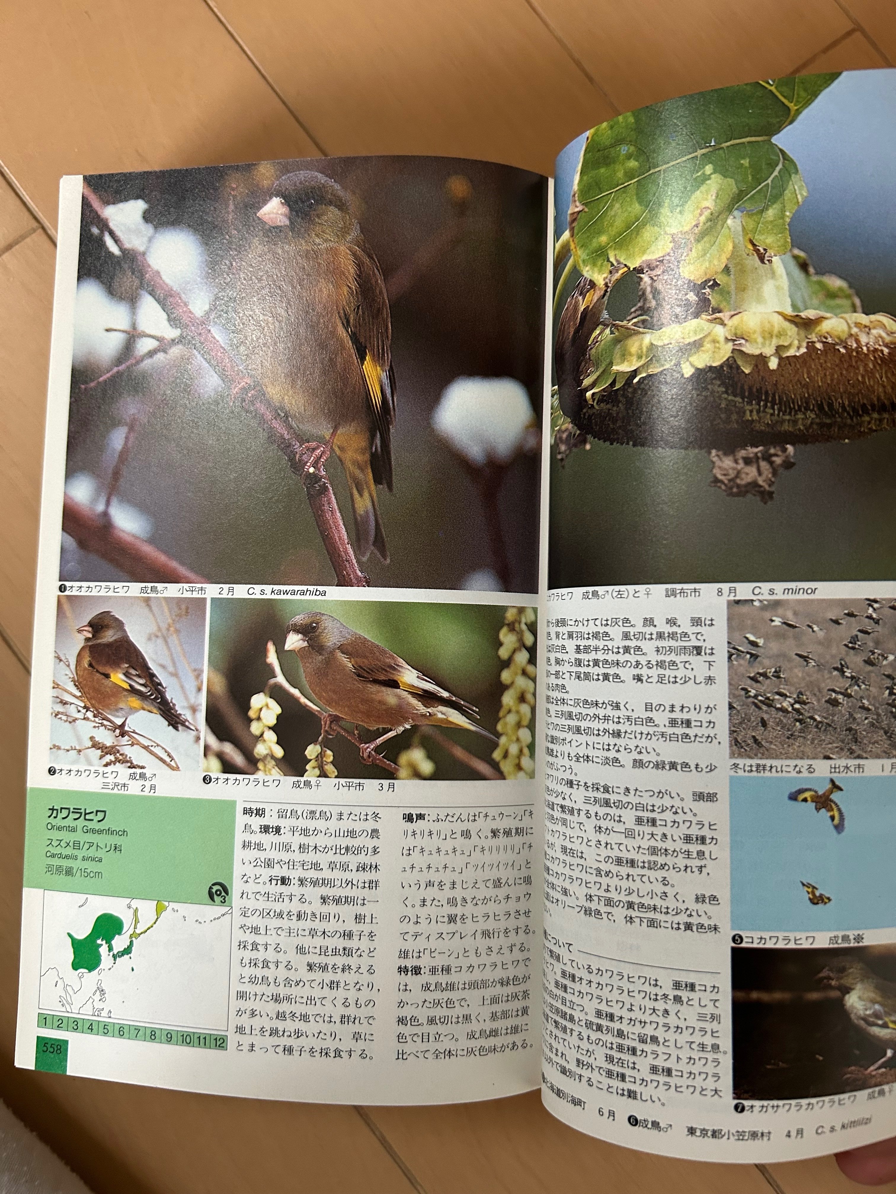 最近の野鳥図鑑と野鳥関連本など｜TOLIMAN Hondα