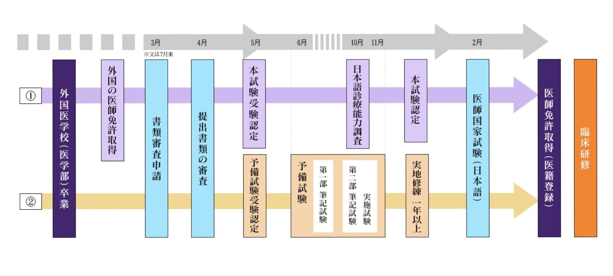 海外医学部から日本の医師へ｜厚労省認定のリアルと戦略｜リン｜中国医学生