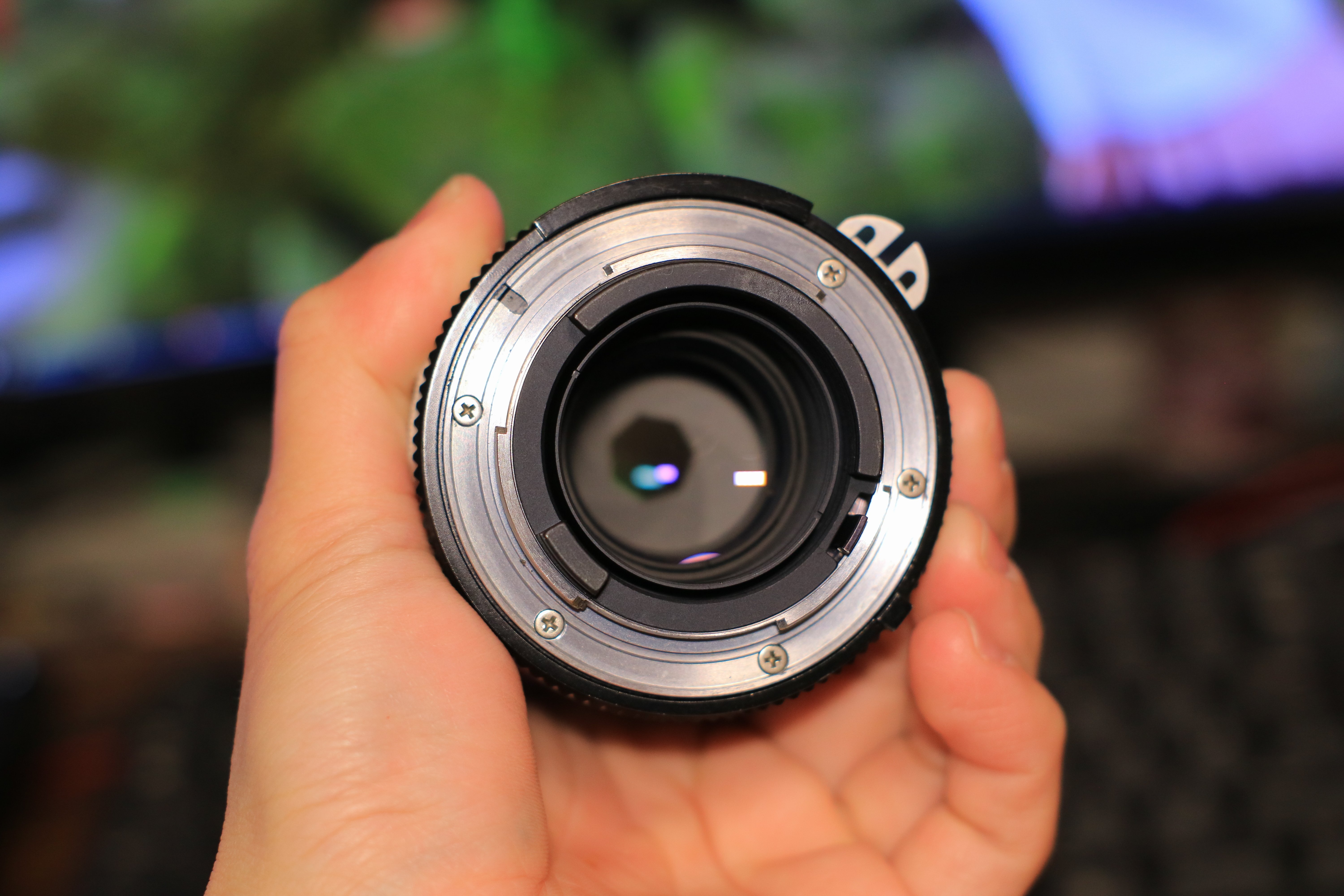 mayuriとレンズぬま *第三十四本* Nikon Ai Nikkor 135mm F2.8｜mayuri