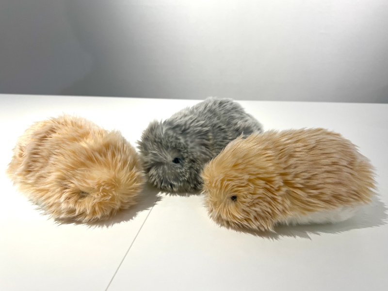 Moflin（モフリン）」の飼い主に育てた感想を聞きました！vol2｜カシオ