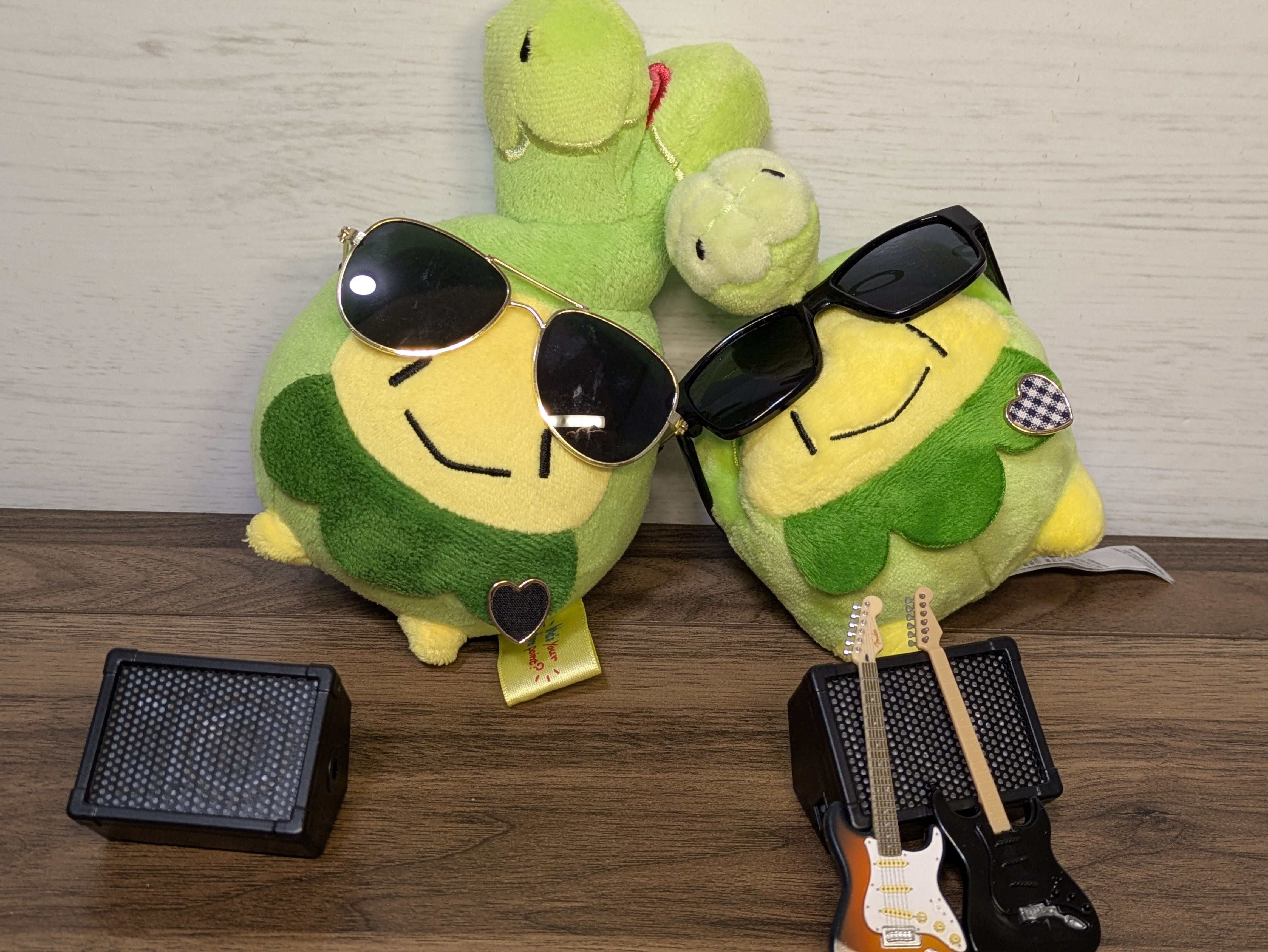 4月6日 スボミーの日！｜カエデとポケぬいの生活日記