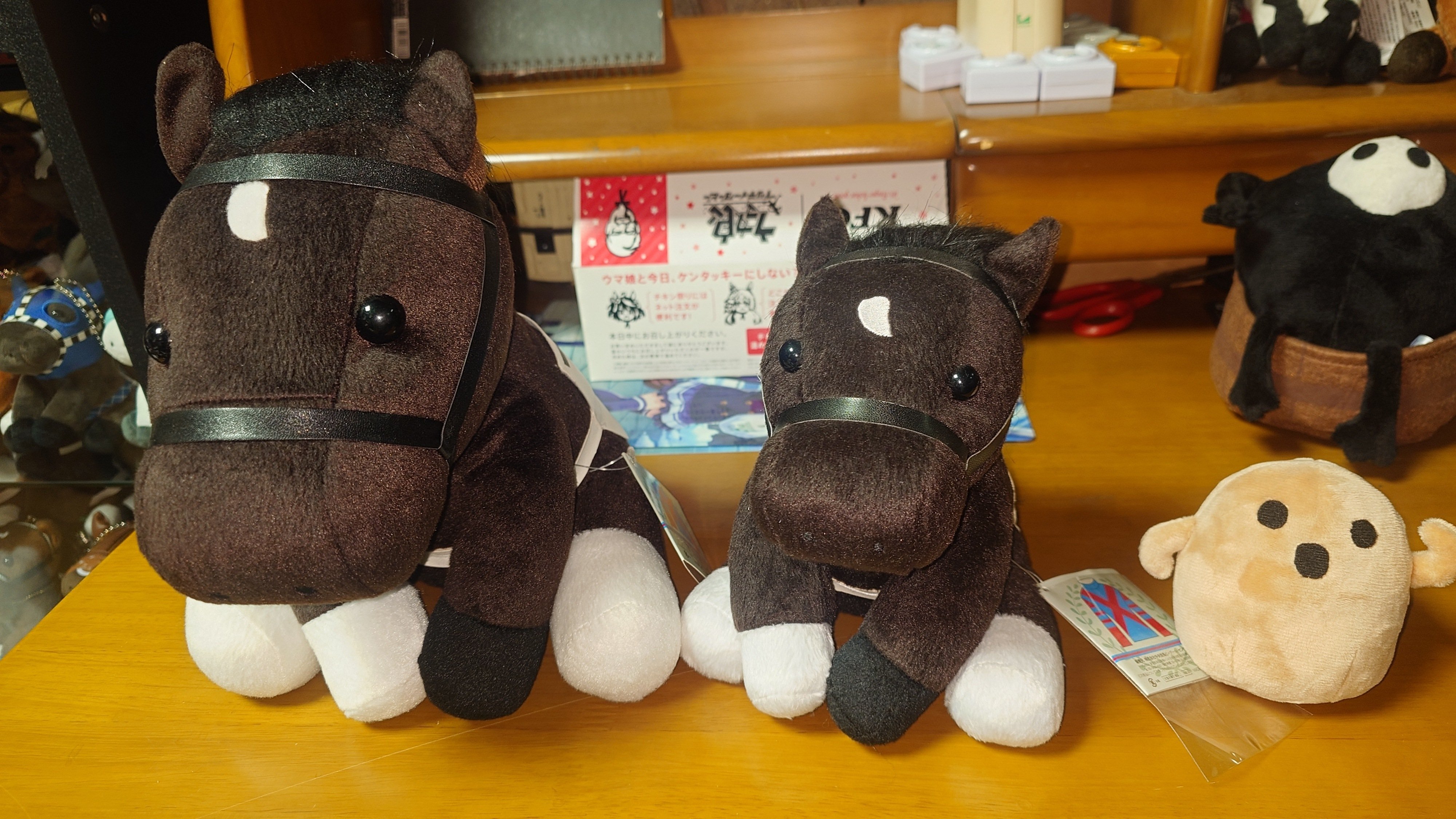 アイドルホース Lサイズ(コウジチュウダヨ)｜デカル(ΦωΦ＊)のアイドル