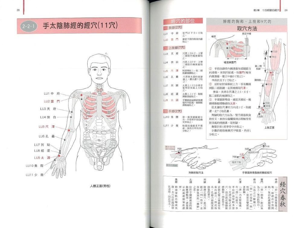 画像で比較】鍼灸・推拿に役立つ経穴取穴本おすすめ21選｜在庫あり49冊