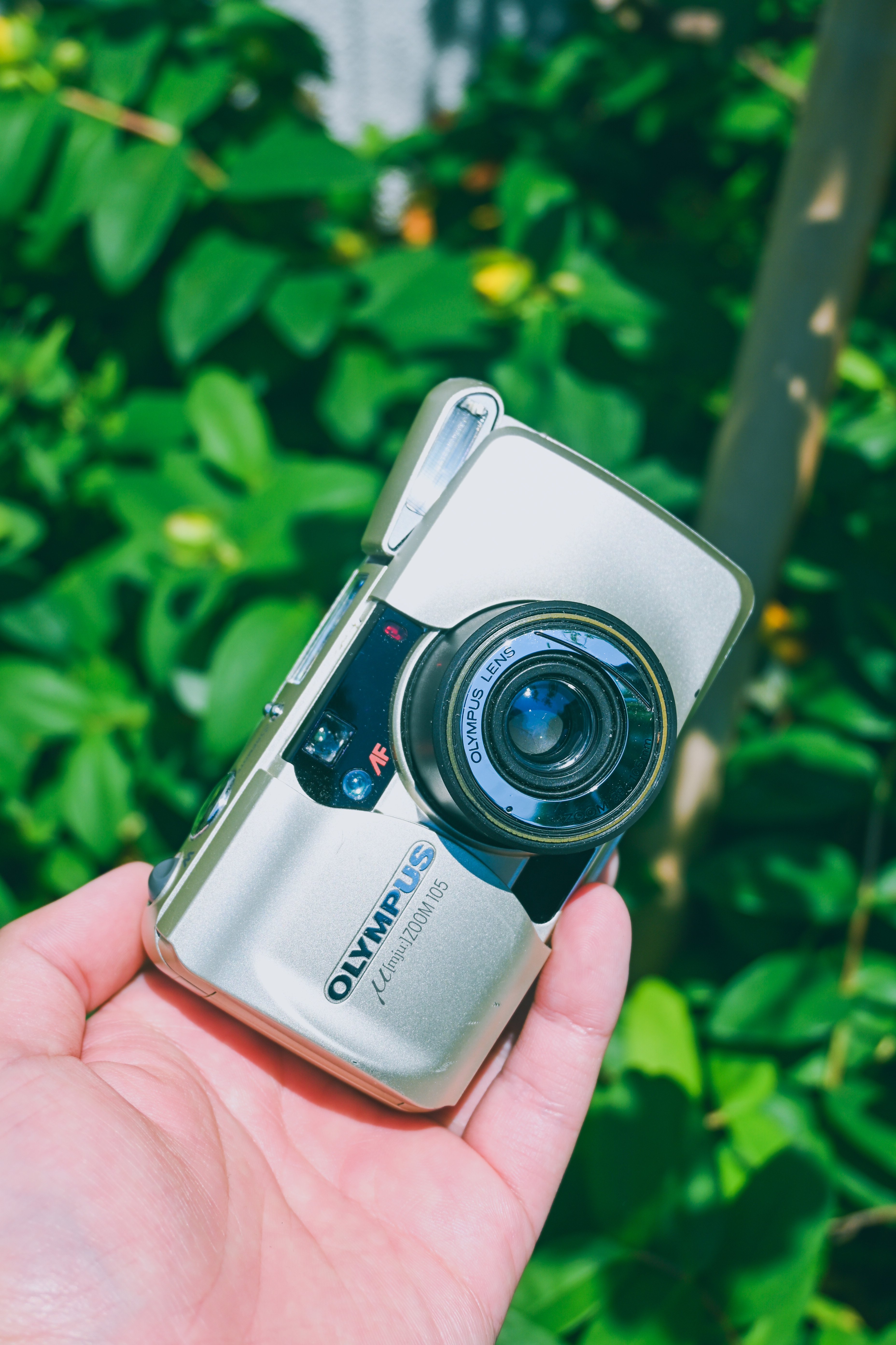 フィルムカメラ】今年の夏もオリンパス・ミューとともに｜もんぶらん