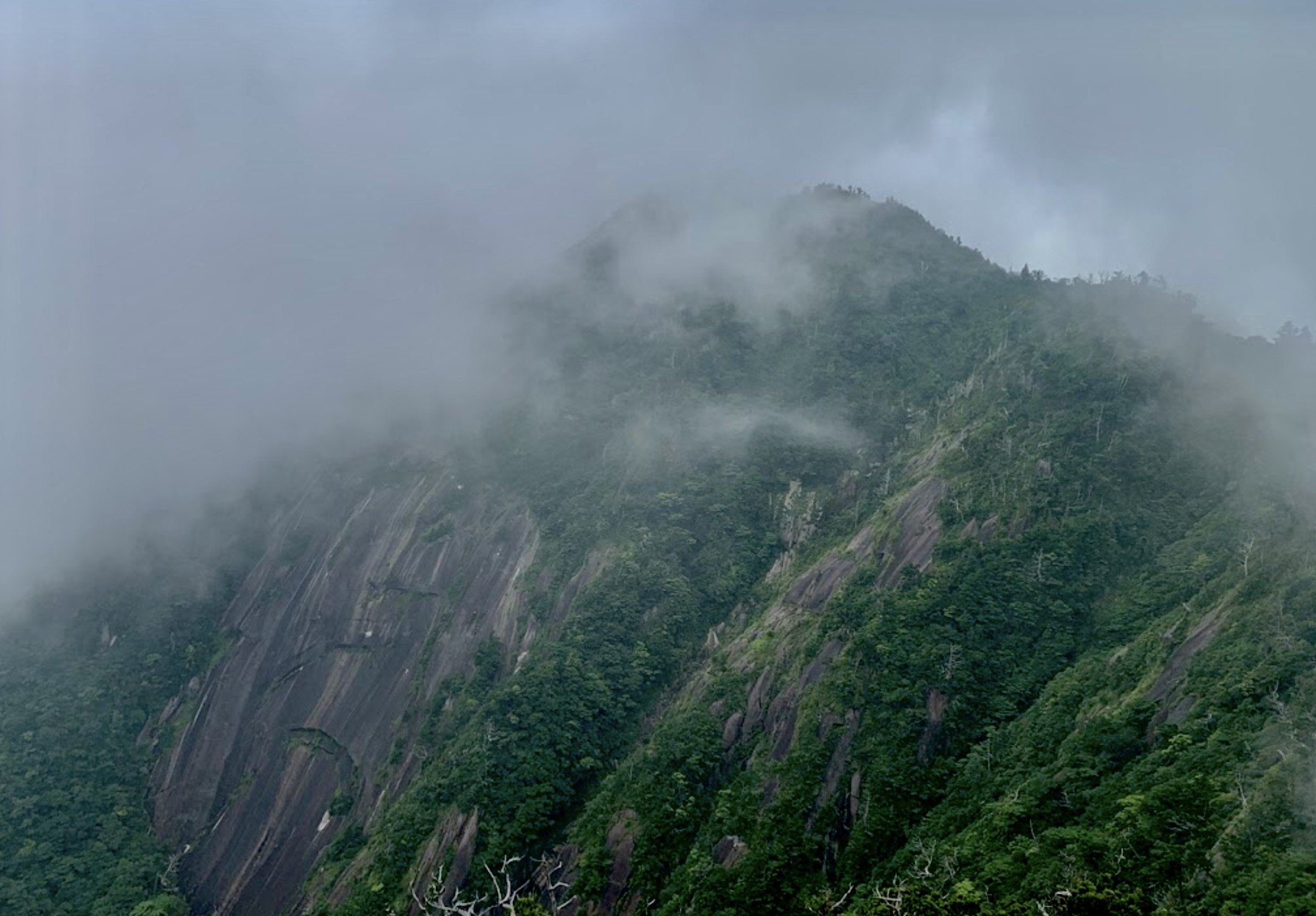 聖老人」百姓・詩人・信仰者として|山尾三省 [著]｜fu [フー子です ]