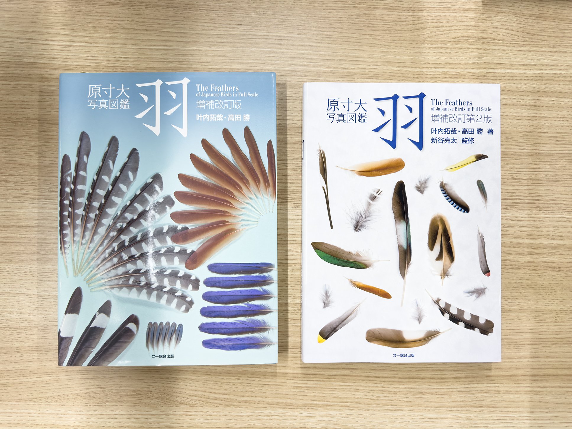 7年ぶりにリニューアルした原寸大羽図鑑｜ブンイチ（文一総合出版）