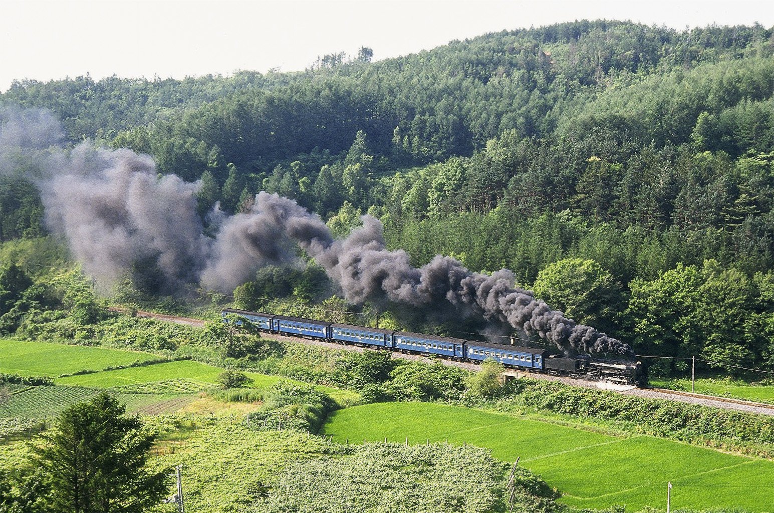 v075, 函館本線：C62ニセコ （1988年夏）｜ひろやん