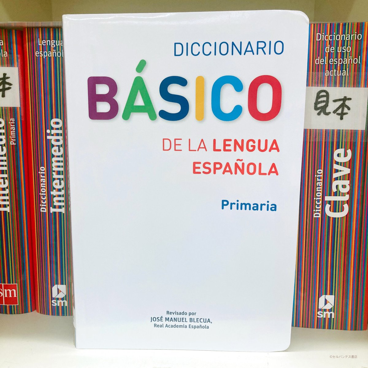 はじめての西西辞書におすすめ！スペイン語の辞書を引こう。｜インター