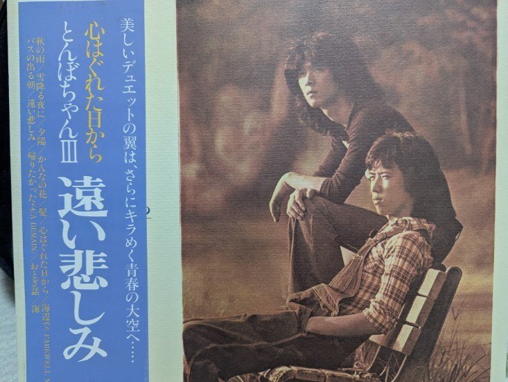 知らなかったフォークソング～とんぼちゃん、とんぼ｜plain-ocean