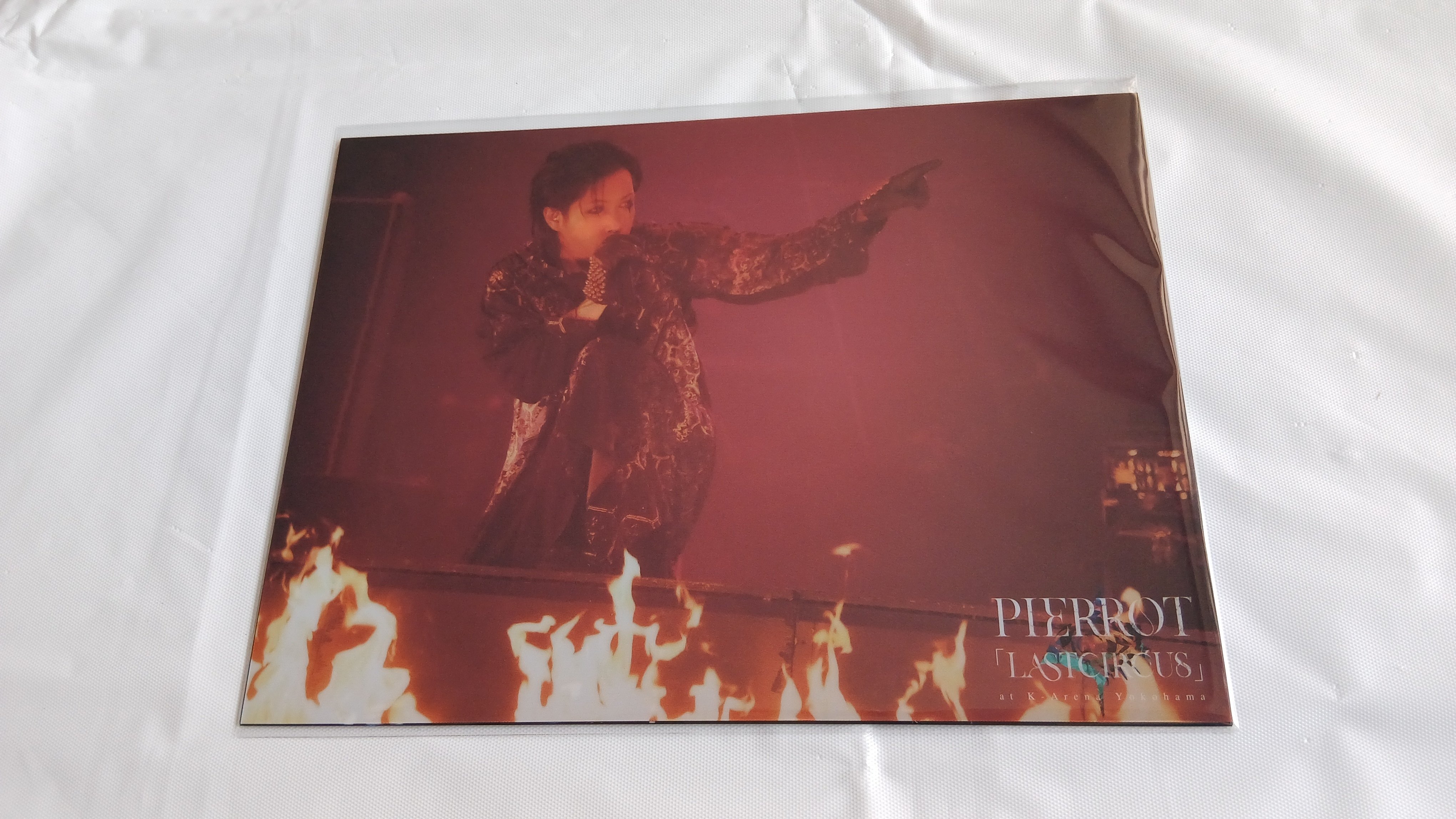 PIERROT LIVE DVD LASTCIRCUS 豪華版 特典付 PIERROT Blu-ray&DVD
