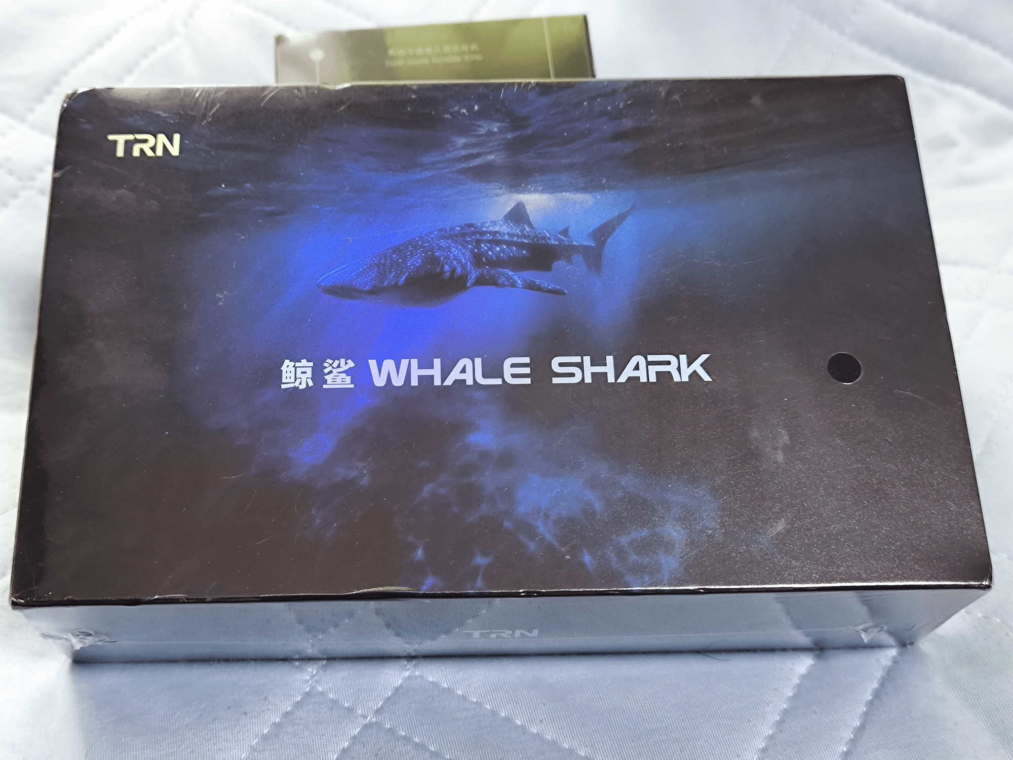 TRN Whale Shark 鲸鲨（ジンベエザメ）詳細レビュー：特異な複合