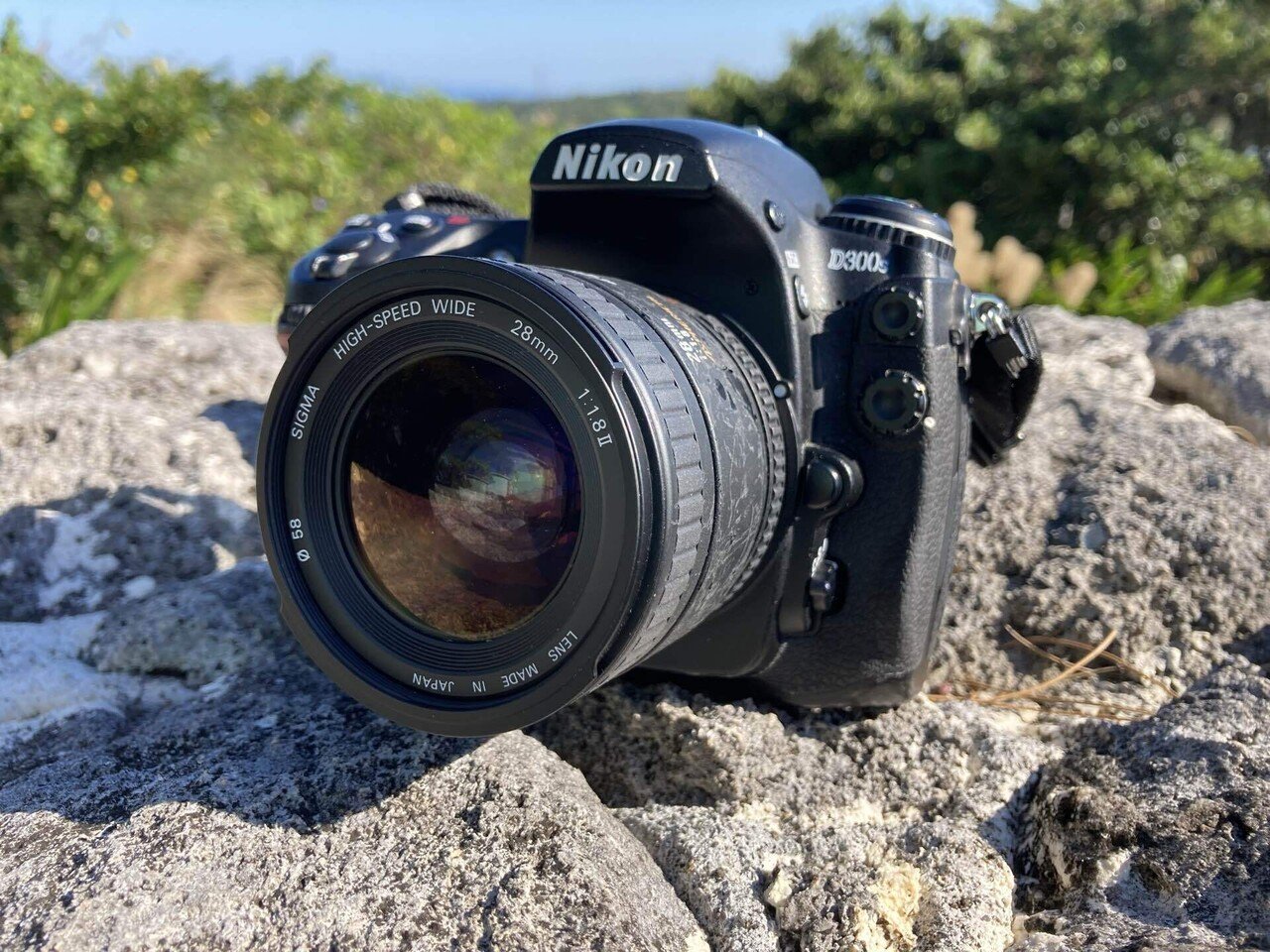 SIGMAのオールドレンズ？使ってみた｜ボールマウンテン