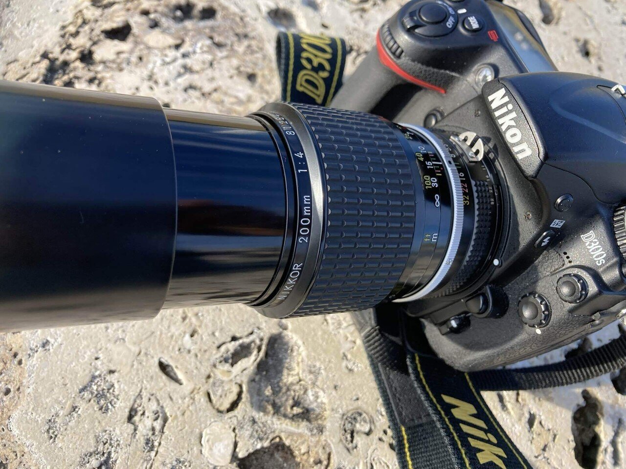 現代で使うオールドNikkor200mm単焦点レンズ｜ボールマウンテン