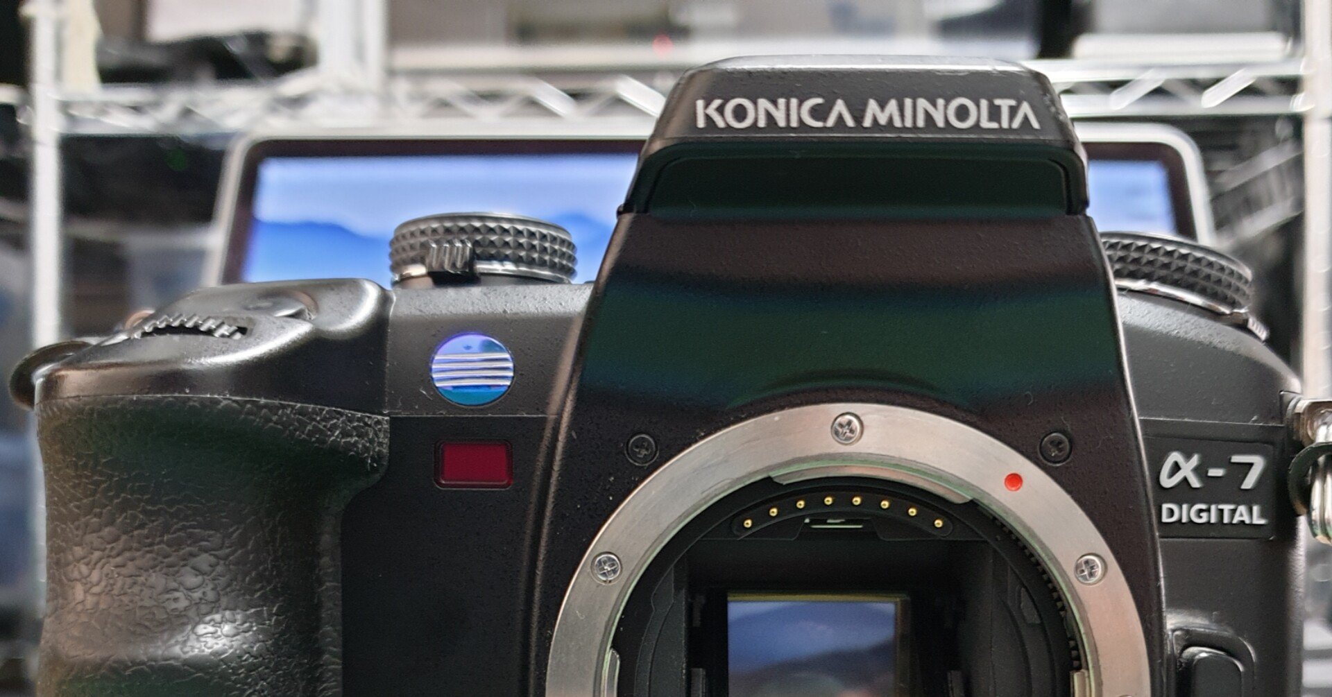 独白 #ナナの誘惑 #ナンバー買い #コニカ ミノルタ α-7 Digital｜Mattaka