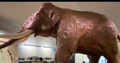 ecf75292ceb762d104345bd8741697