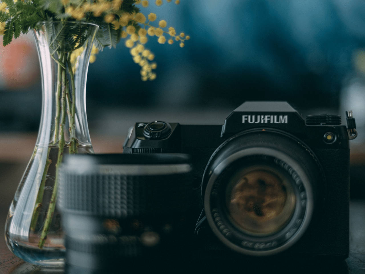 GFX 50SⅡを購入しました。｜Mizuki Tanaka