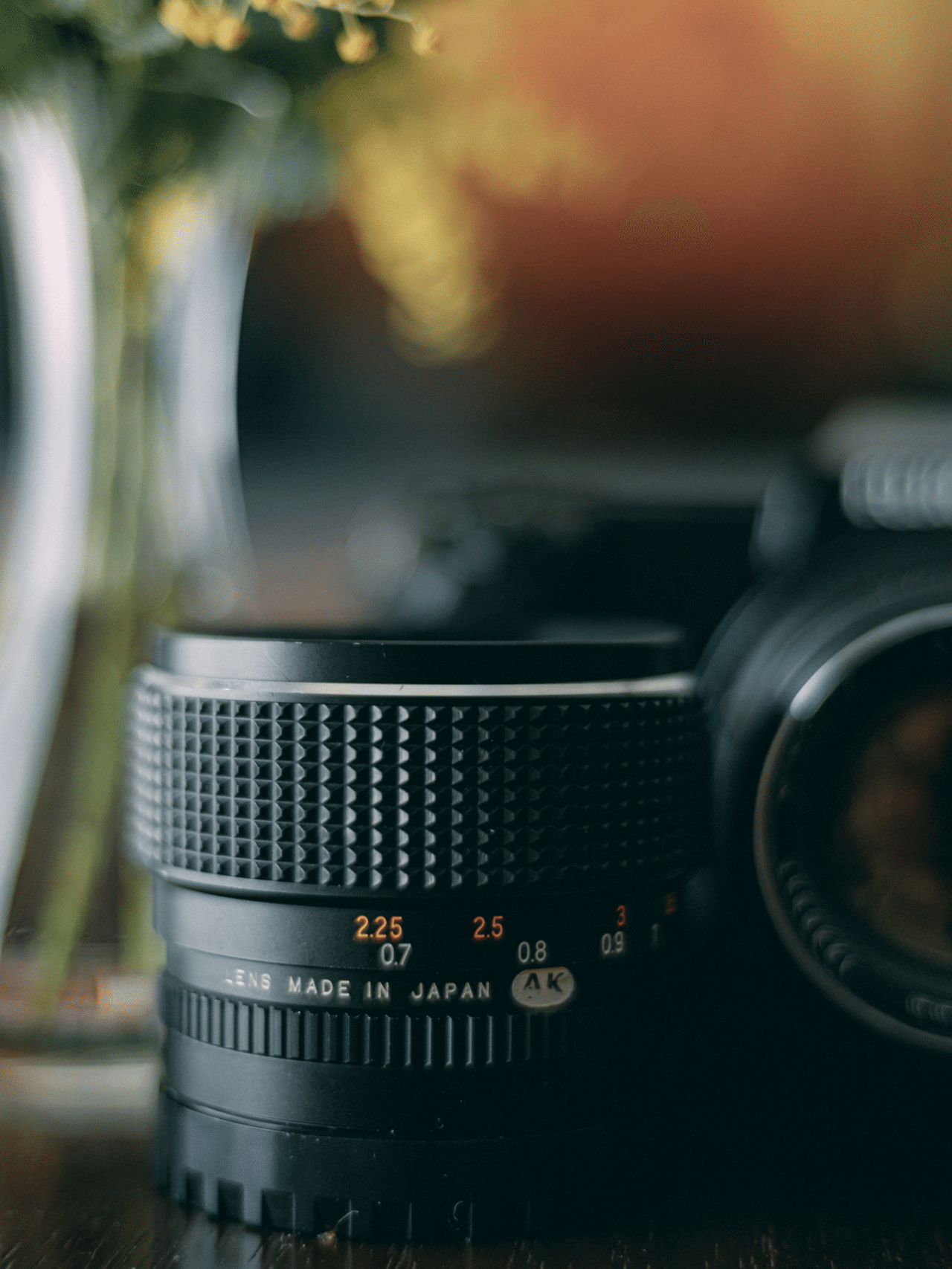 GFX 50SⅡを購入しました。｜Mizuki Tanaka