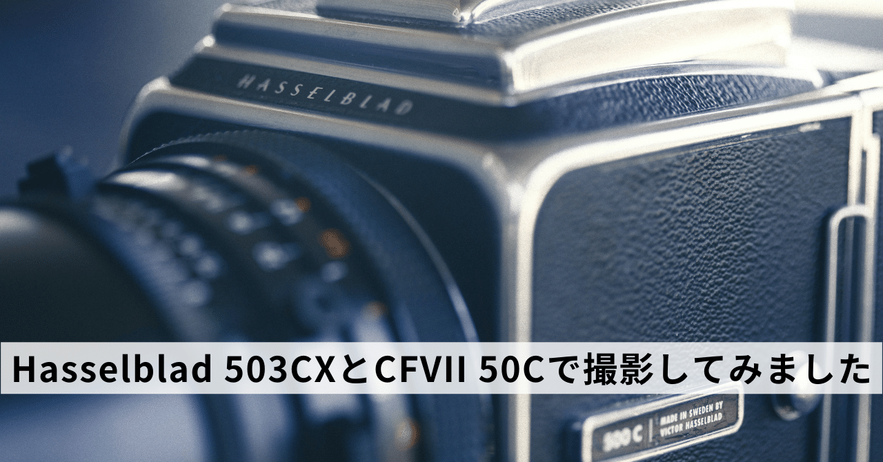 Hasselblad 503CXとCFVII 50Cで撮影してみました｜Naoto Takazawa
