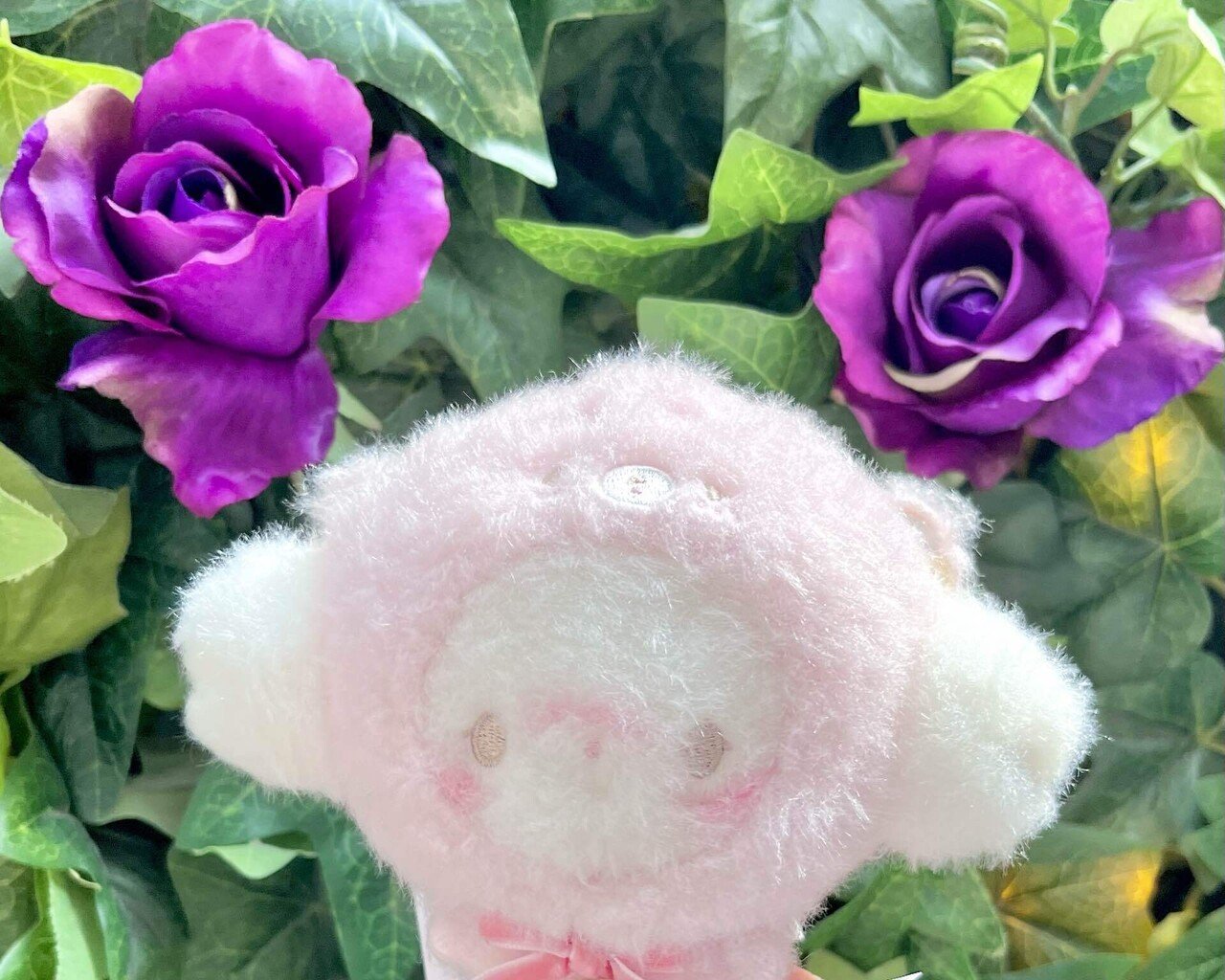 こぎみゅんの手づくりくまさん｜さえ