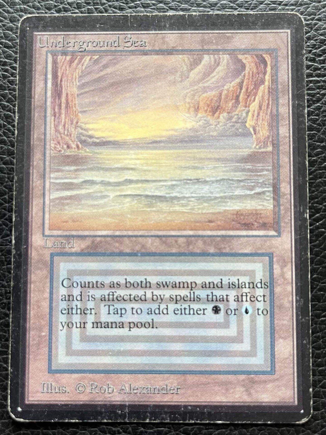 デュアルランドβ化計画｜しょ〜た（N）-Yamaro