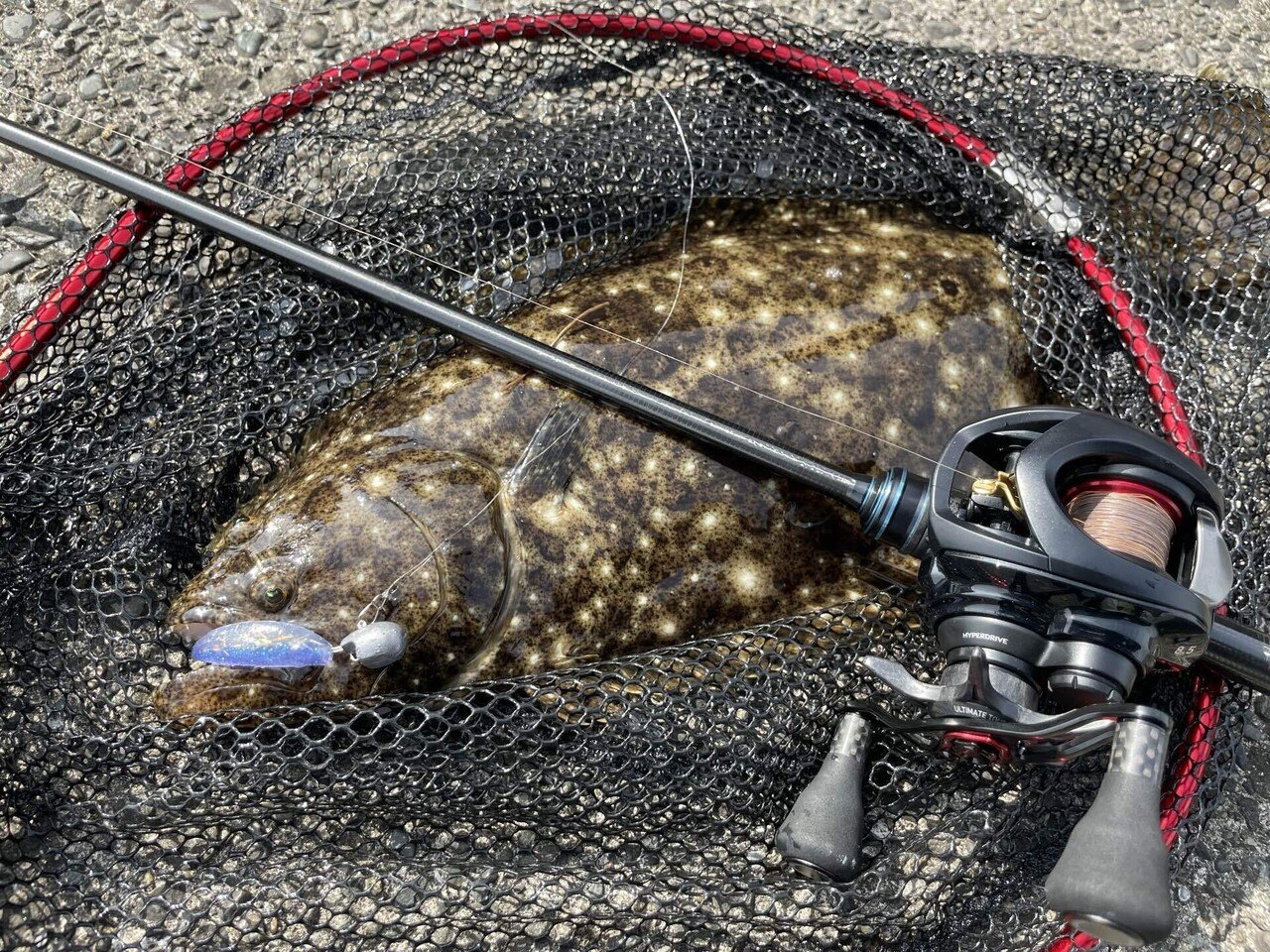 道具のこと：がまかつ ラグゼ 寧音 B74M-Solid｜サカイ オツヒト