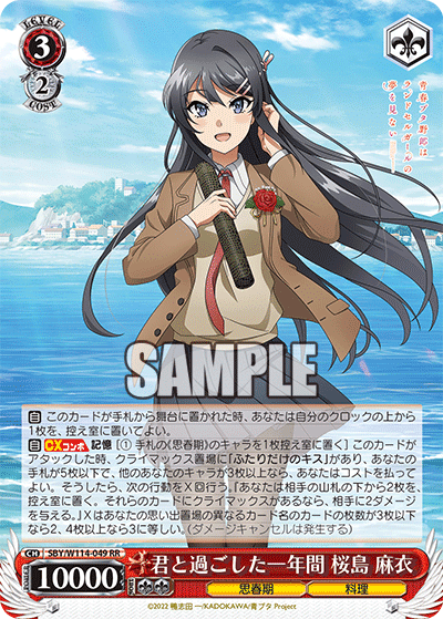 8扉青ブタ｜.EXE