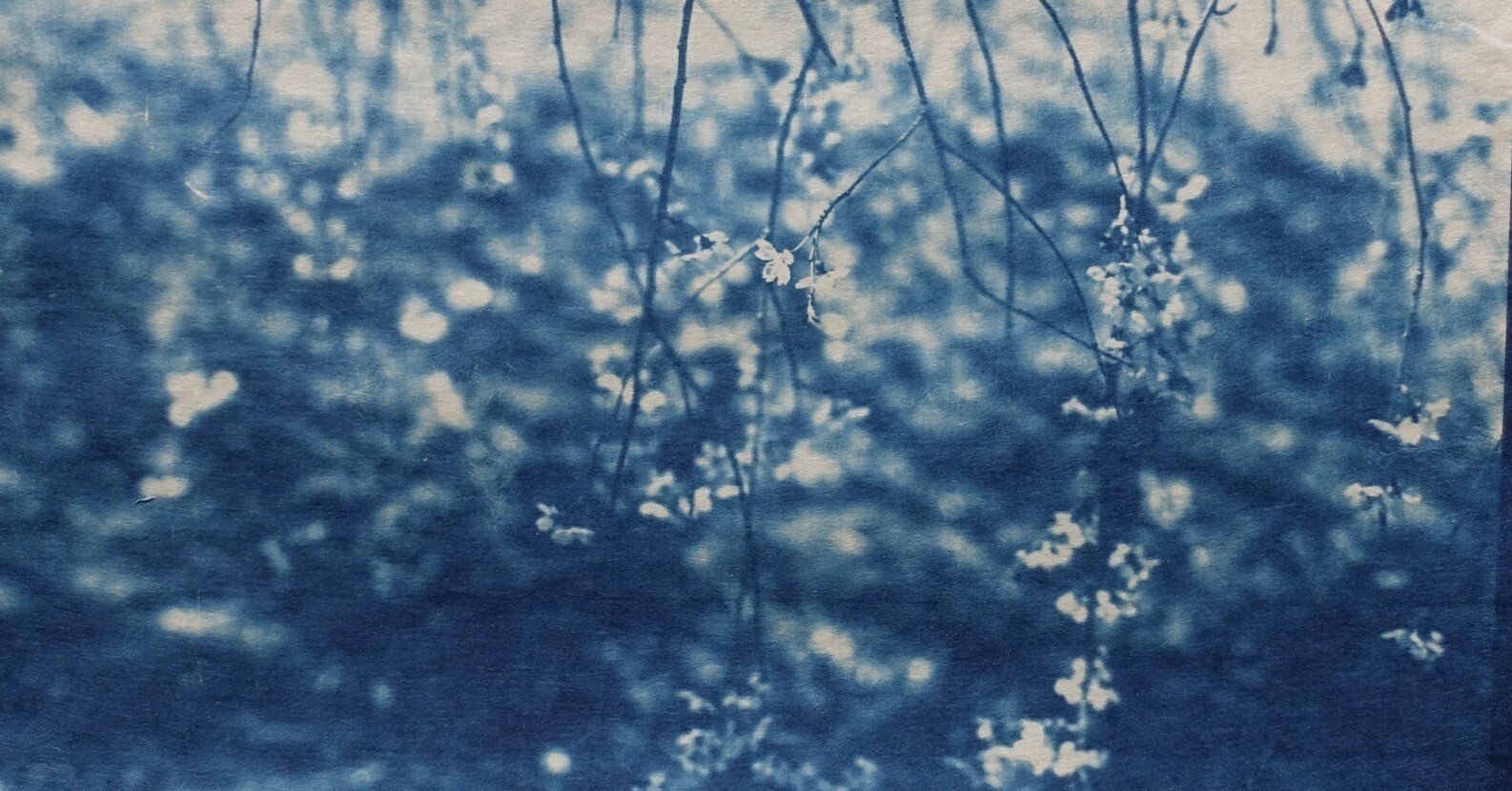 5b89d1379155051c6ed2c614336e72