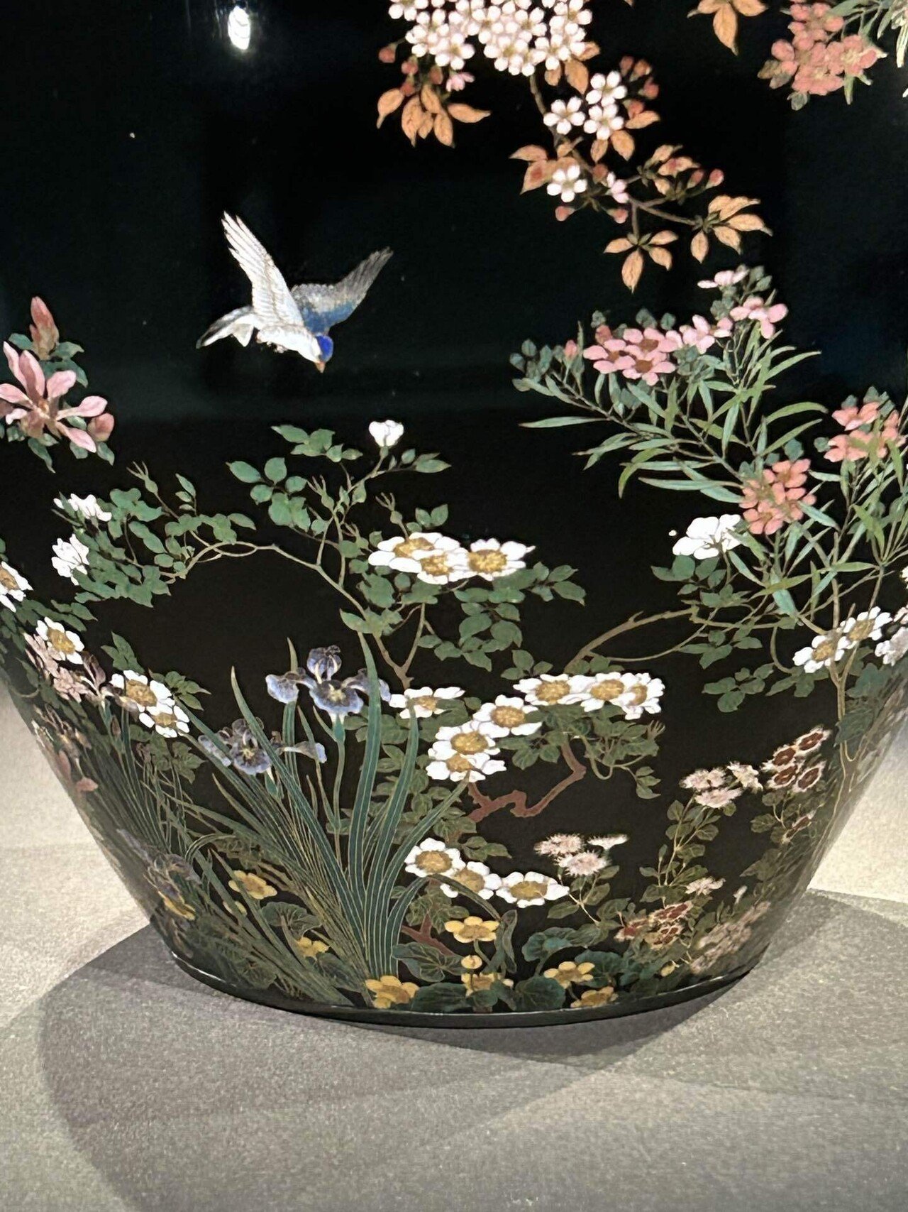 並河靖之の七宝｜Snow❄️Yukihikari