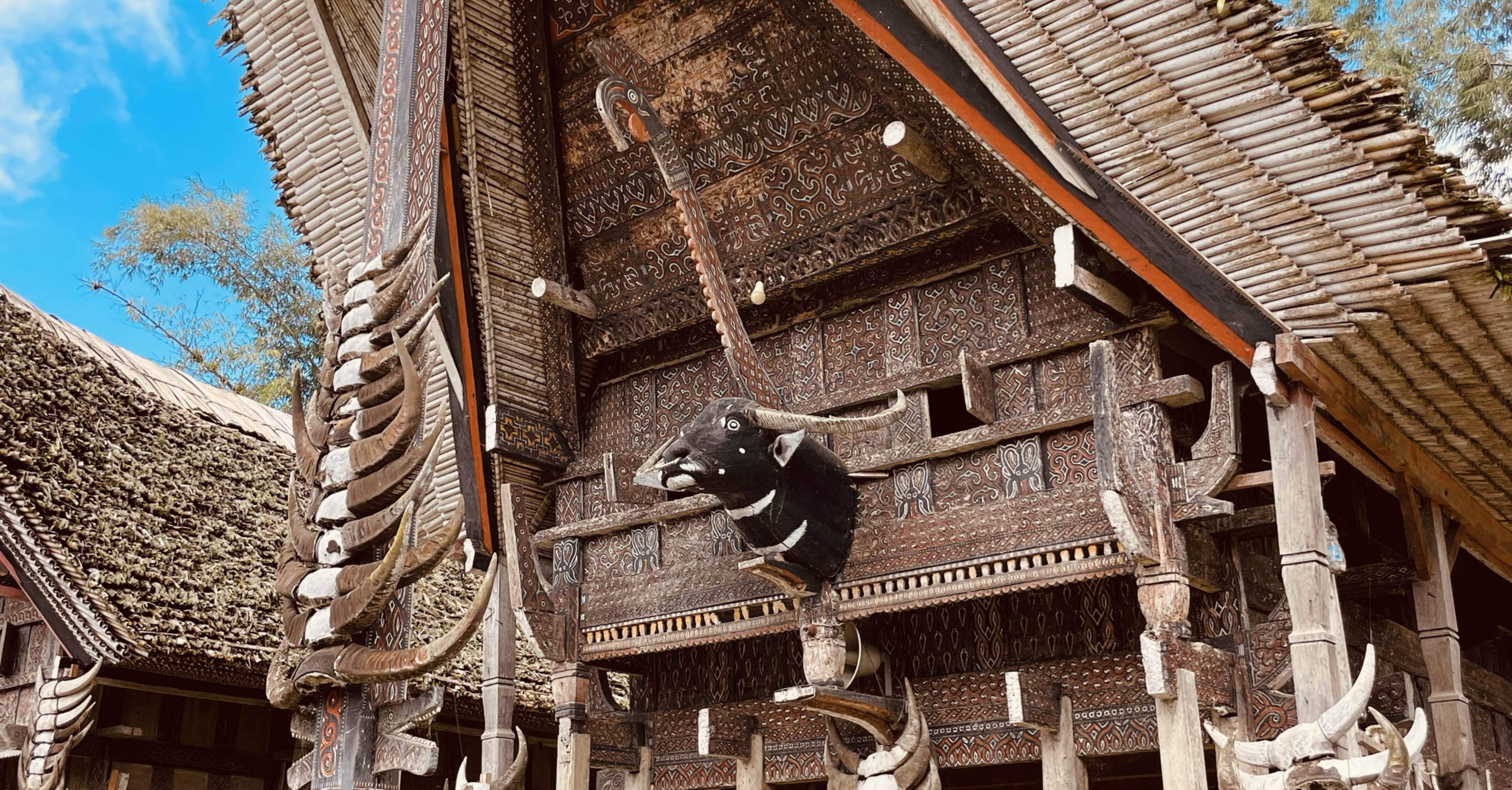 インドネシア】トラジャ旅行1泊2日王道モデルコース｜スラウェシ島の