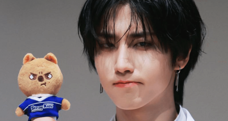 ハンジソンについて - 2025-07｜はんりす｜note