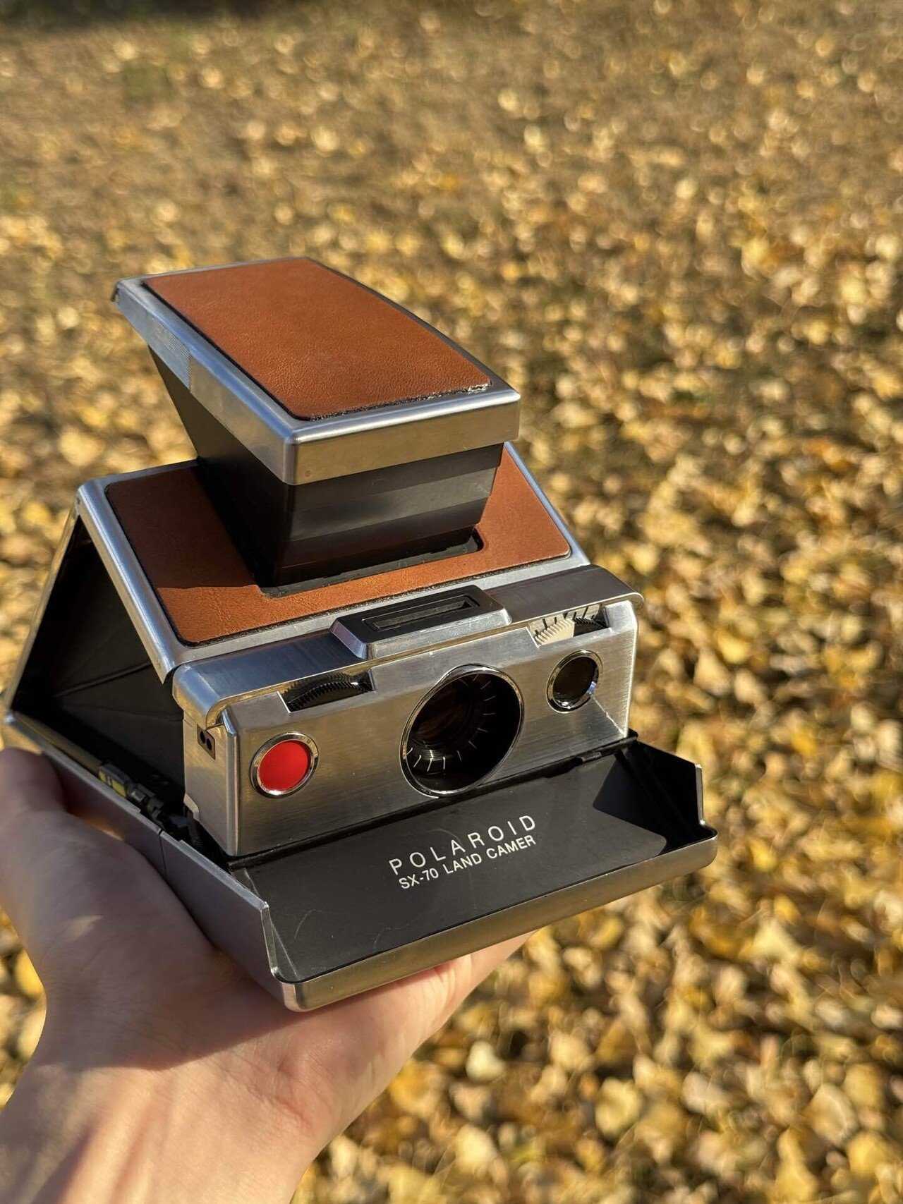 写真と道具｜ポラロイドカメラと向き合う｜深山 直哉