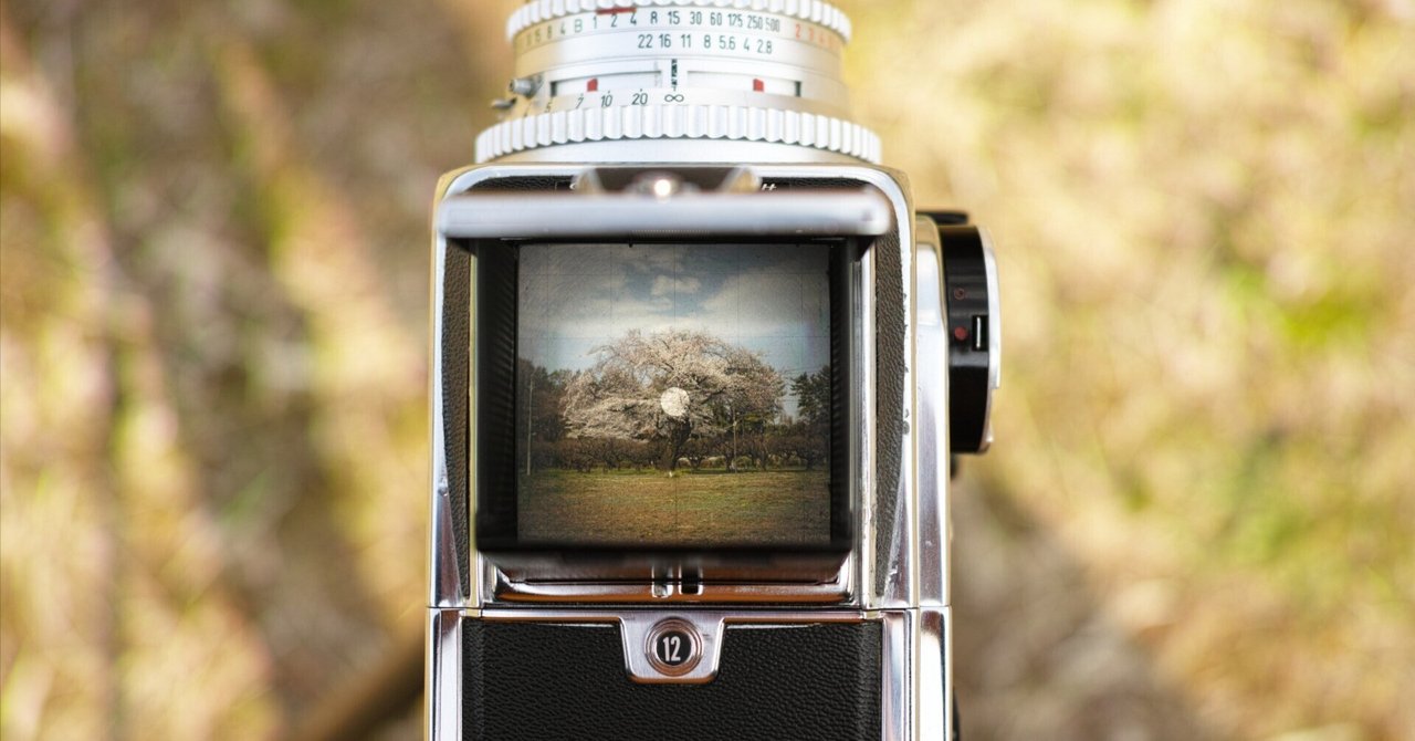 レビュー】初めて宇宙に行ったカメラ Hasselblad 500Cを2017年から使っ