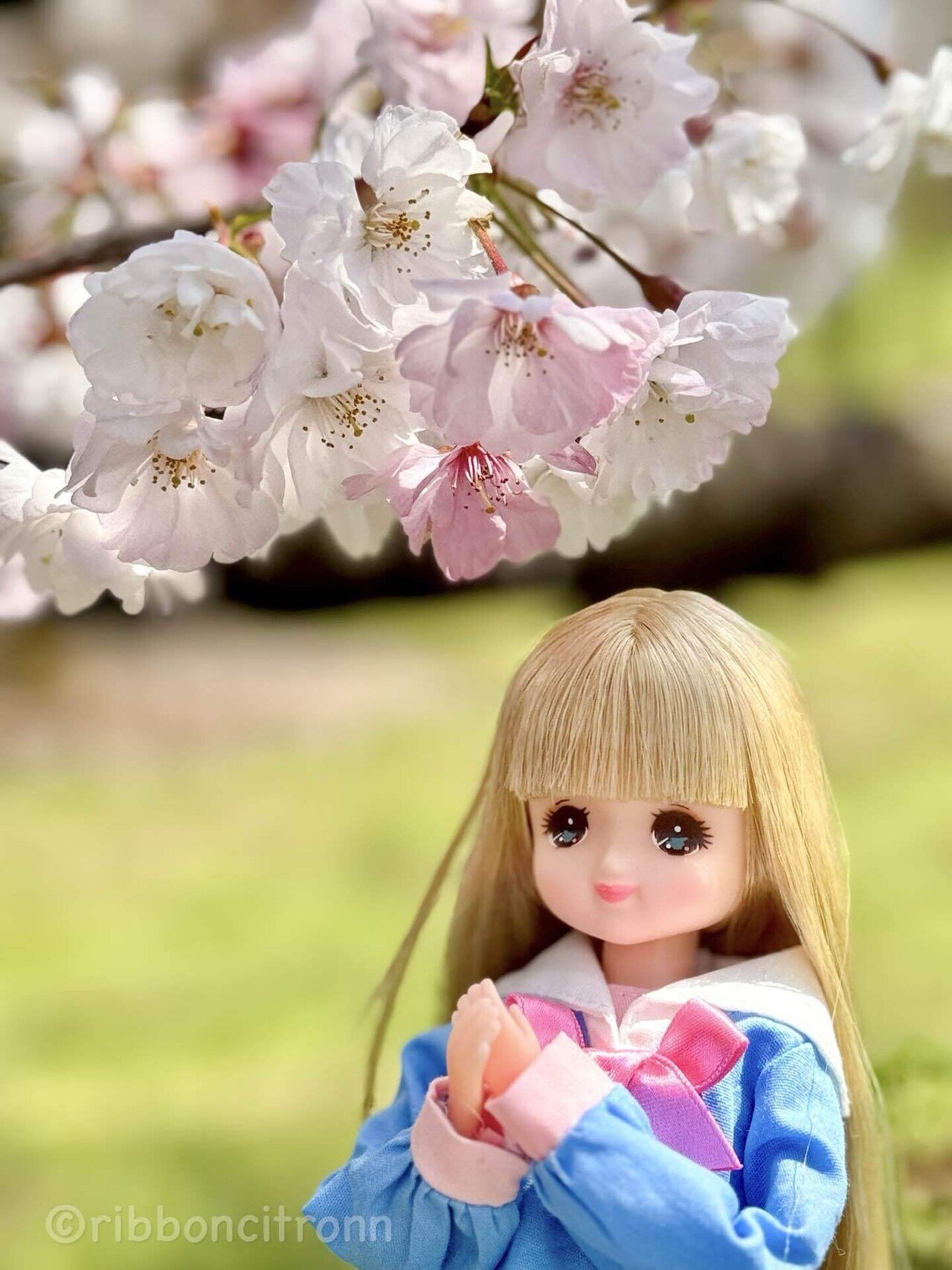 リカちゃんフレンド等(3代目フレンド編)②｜citronnia