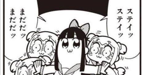 自由度が高い アナカラーマルル2種の解説（ガイアッシュマルル）（アナ