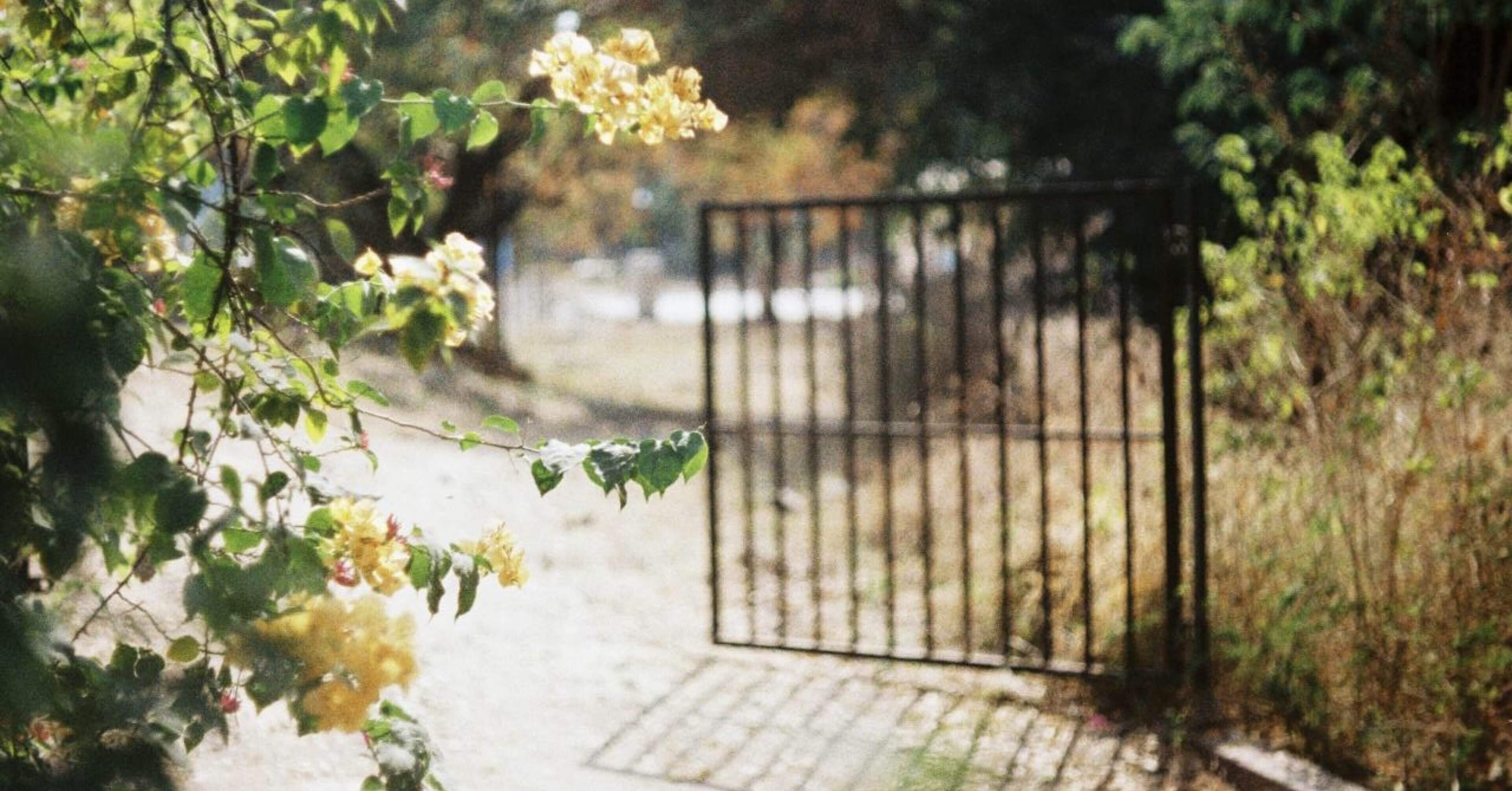 アトピーをアーユルヴェーダで治療する ｜ パンチャカルマ体験記①