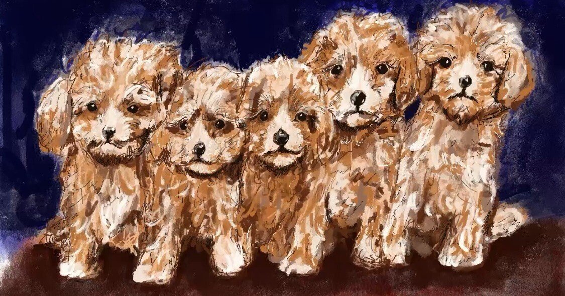 イラスト】トイプードル描いてみた｜てんぷら さく子