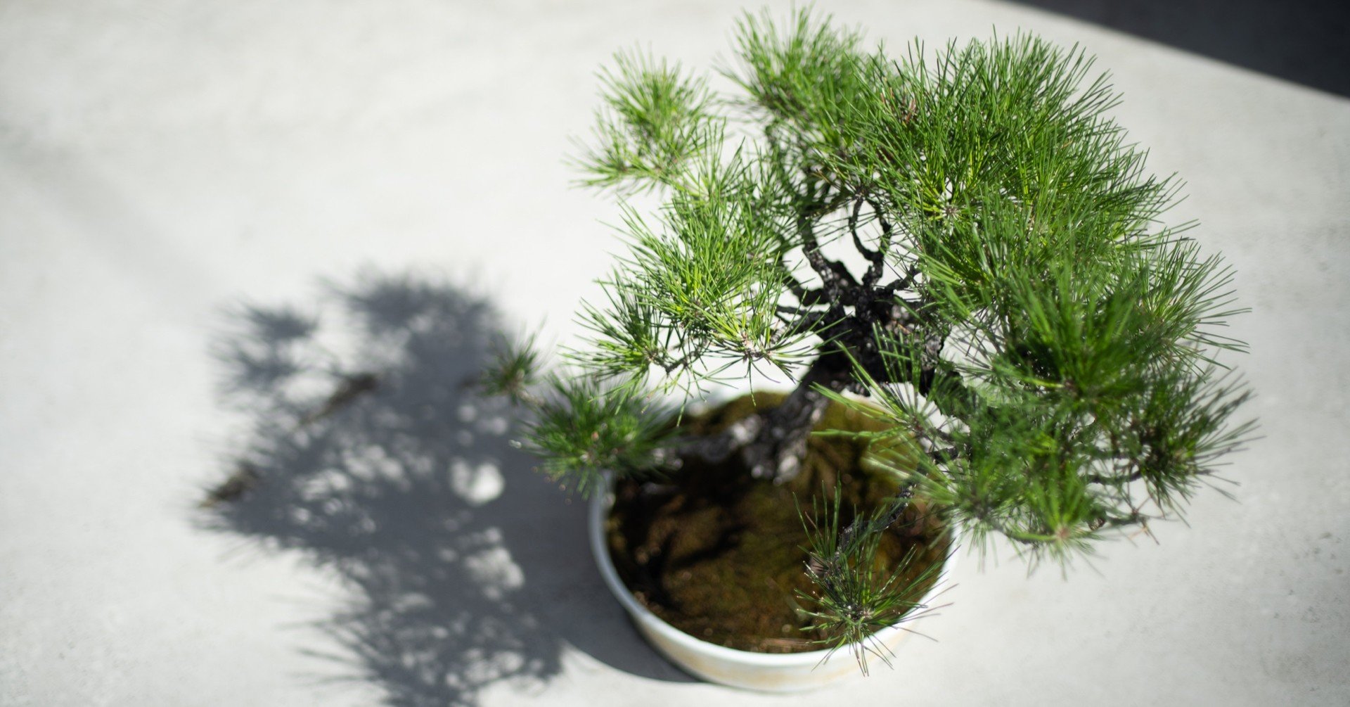 bd0279c91eb43591cde9406f47643f