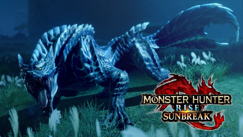 Nintendo Switch『モンスターハンターライズ：サンブレイク』の