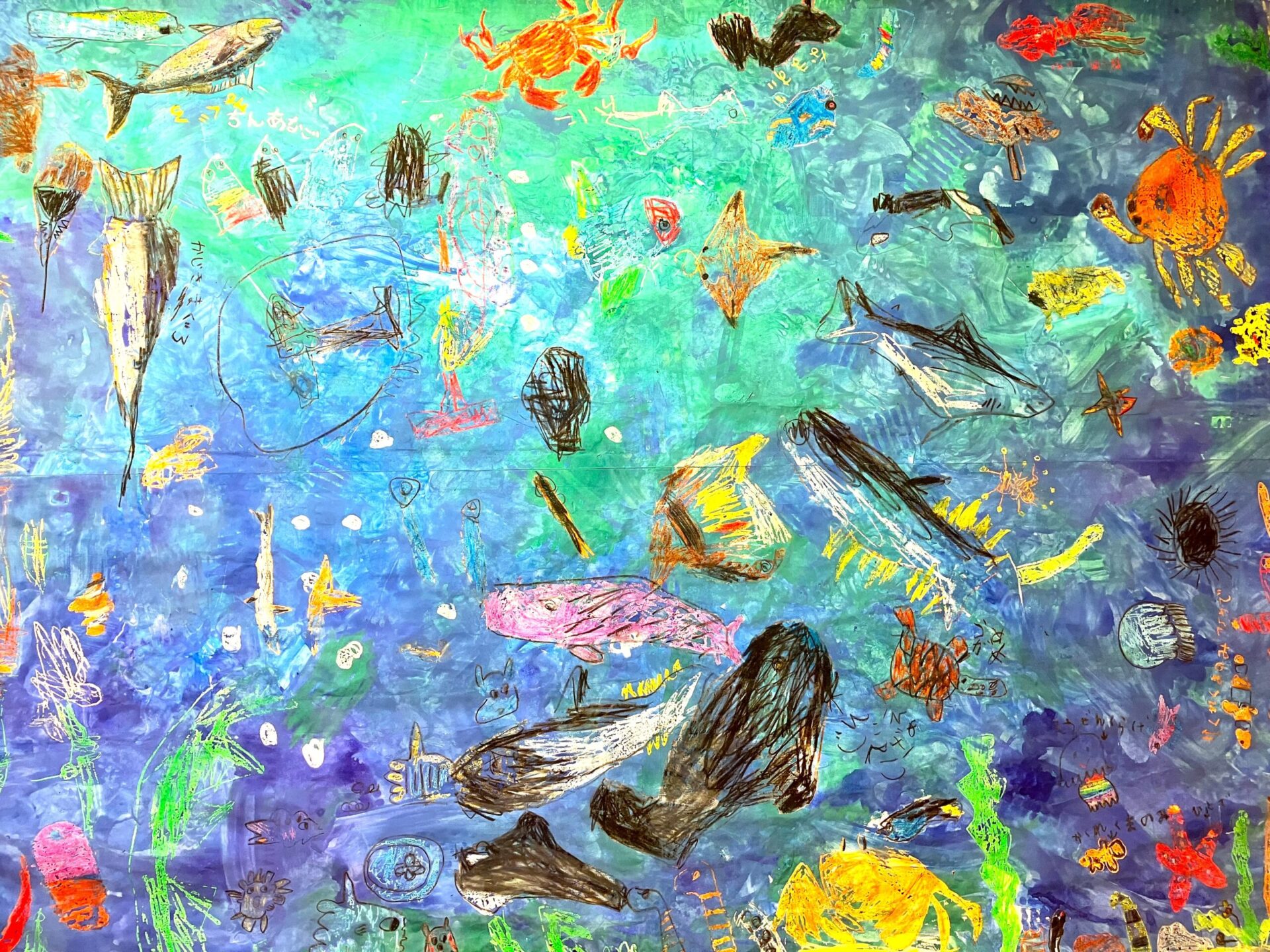 青南水族館🐠 | アソシエブログ